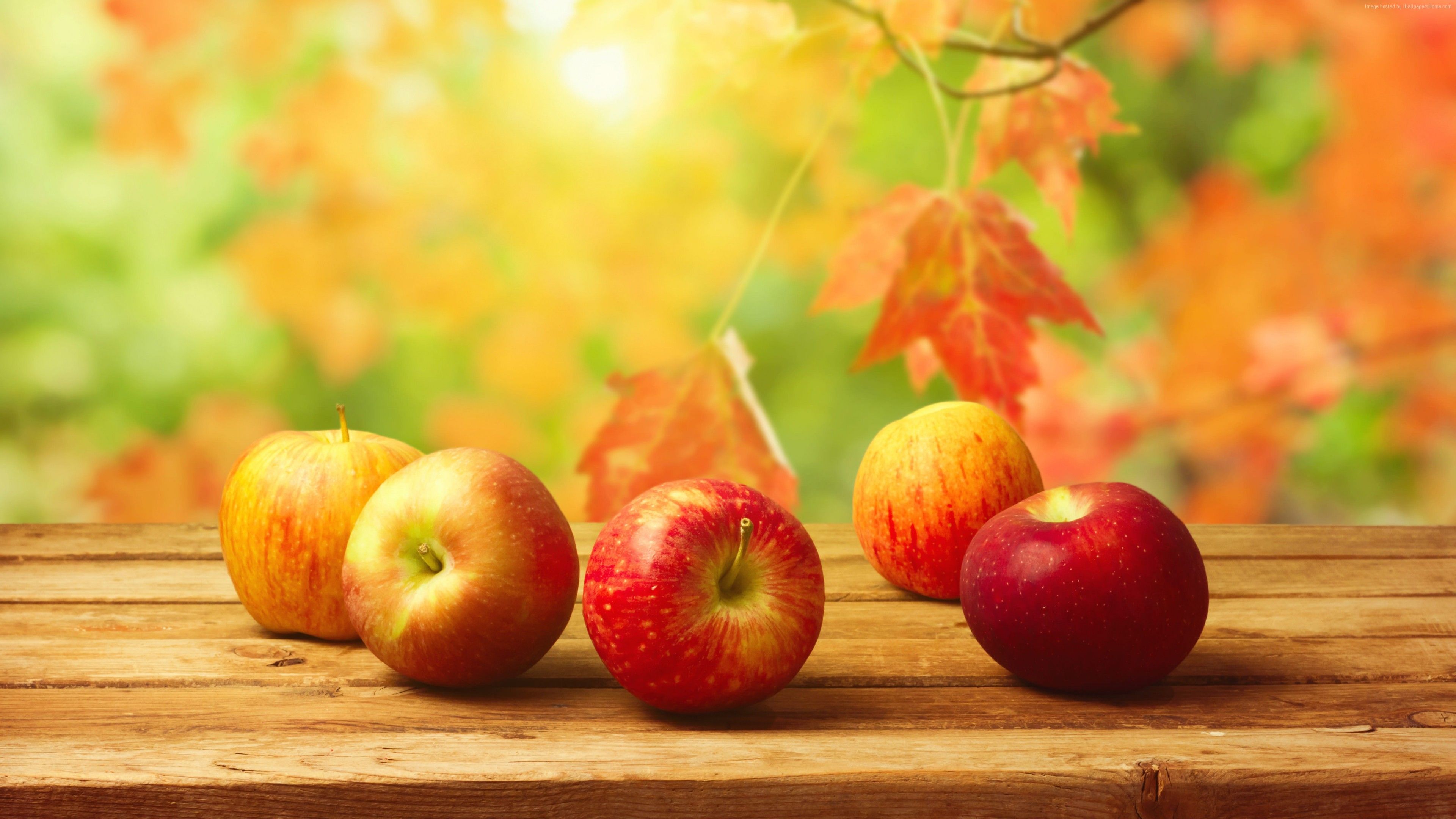 Wallpaper apple, fruit, autumn, 4k, Food Wallpaper Download Resolution 4K Wallpaper