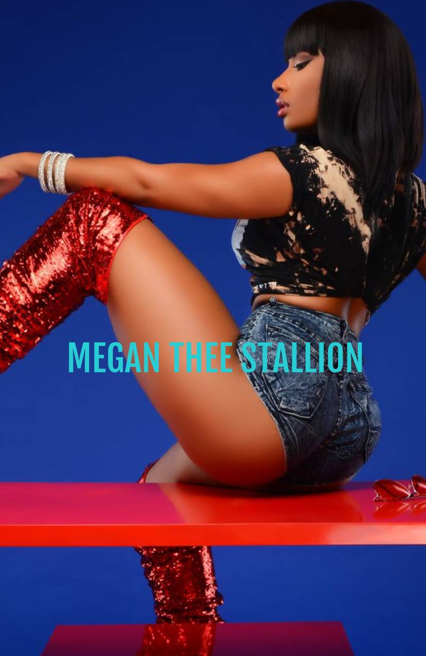 Meg thee stallion wallpaper