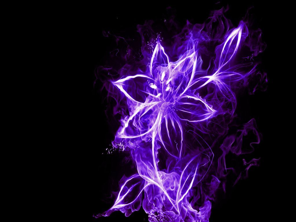Neon flowers, Purple wallpaper .com