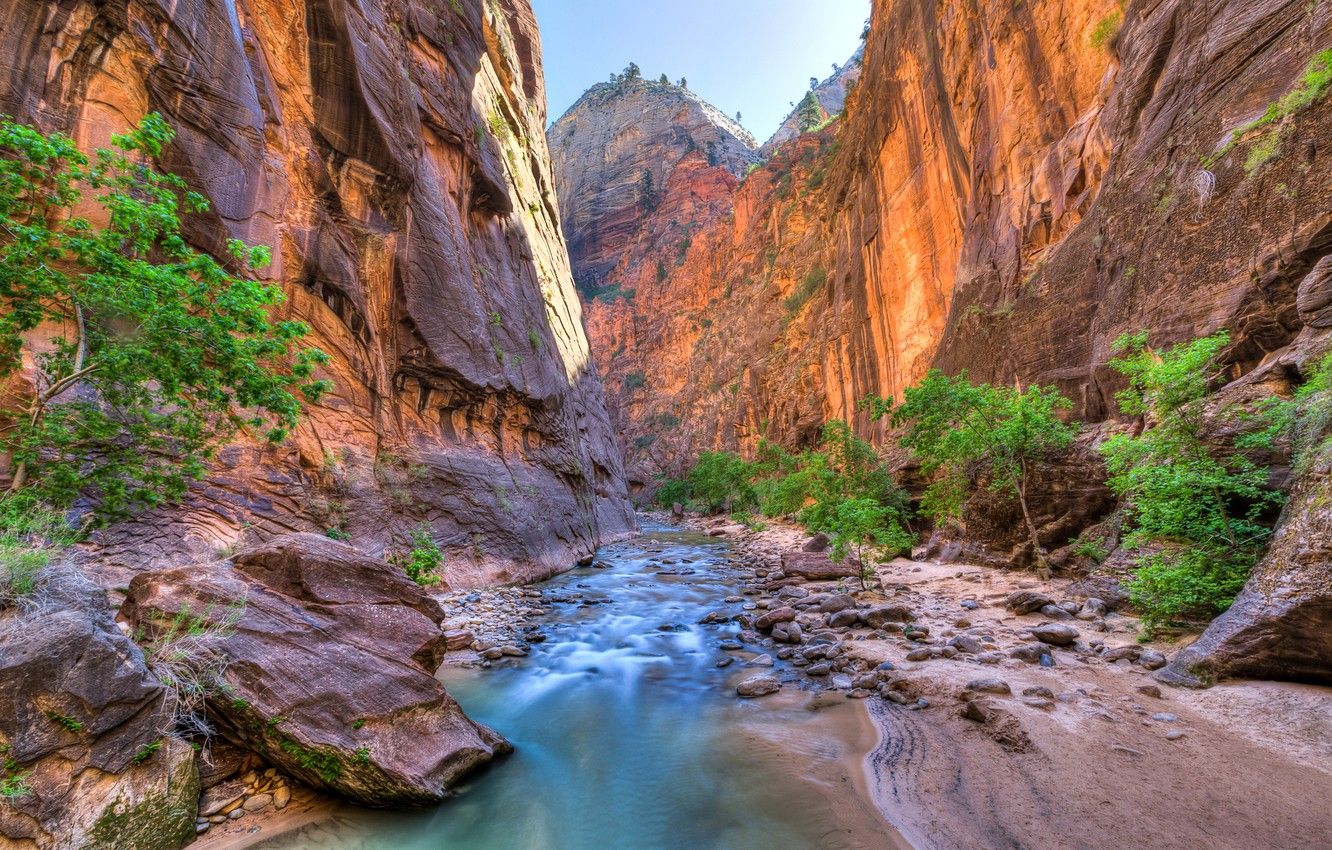 Wallpaper trees, river, stones, rocks, canyon, gorge, Zion National Park, USA, Utah image for desktop, section пейзажи