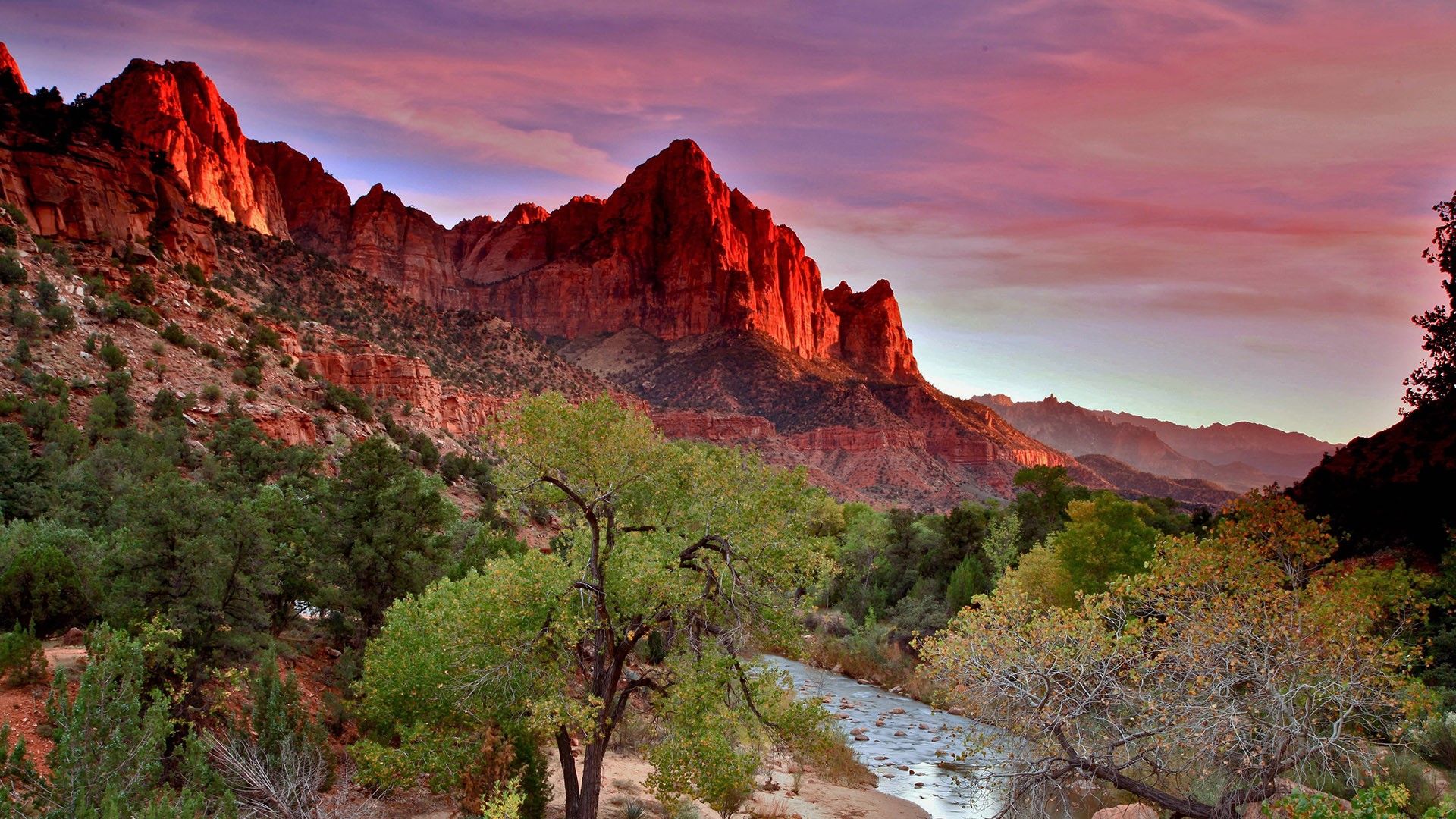 Sunset in Zion National Park, Virgin river with Watchman, Utah, USA. Windows 10 Spotlight Image