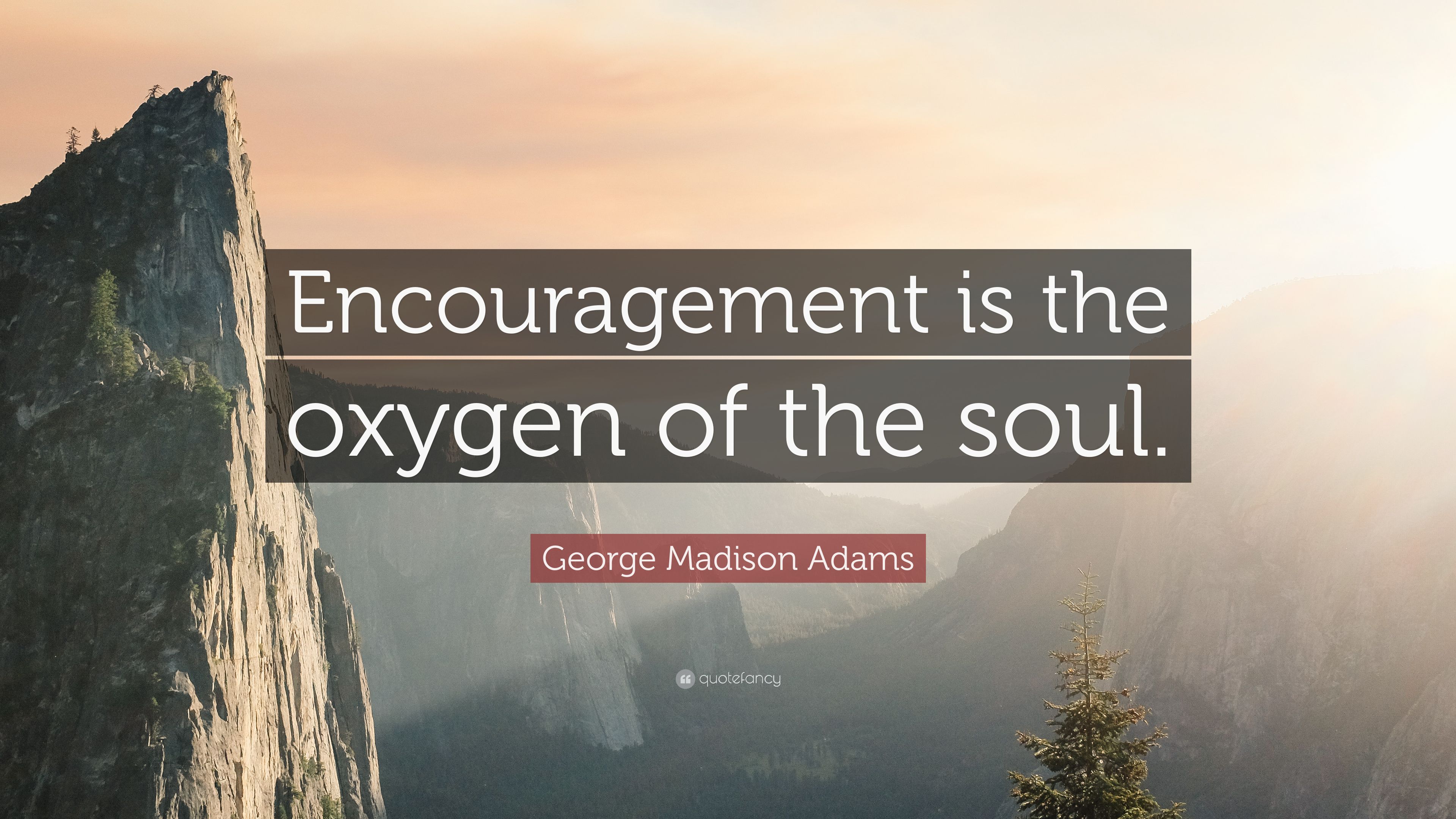 George Madison Adams Quote: “Encouragement is the oxygen of the soul.” (7 wallpaper)