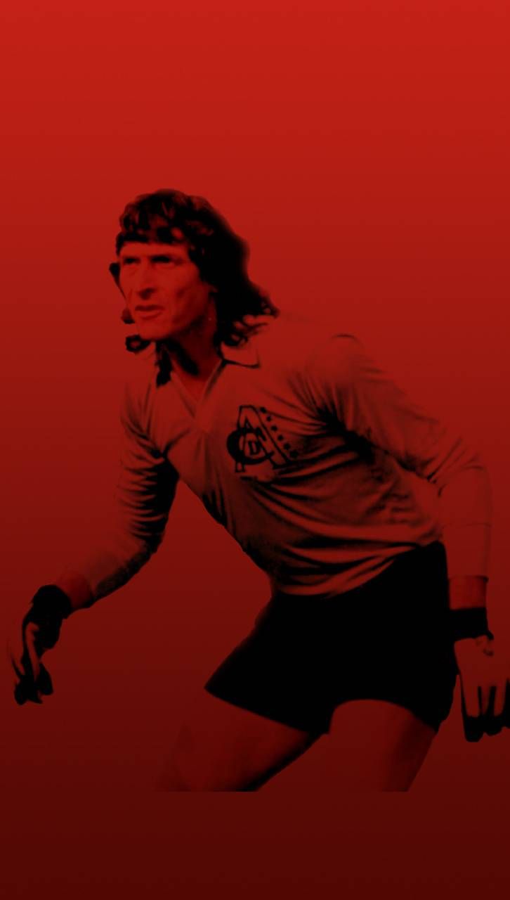 América De Cali Wallpapers - Wallpaper Cave