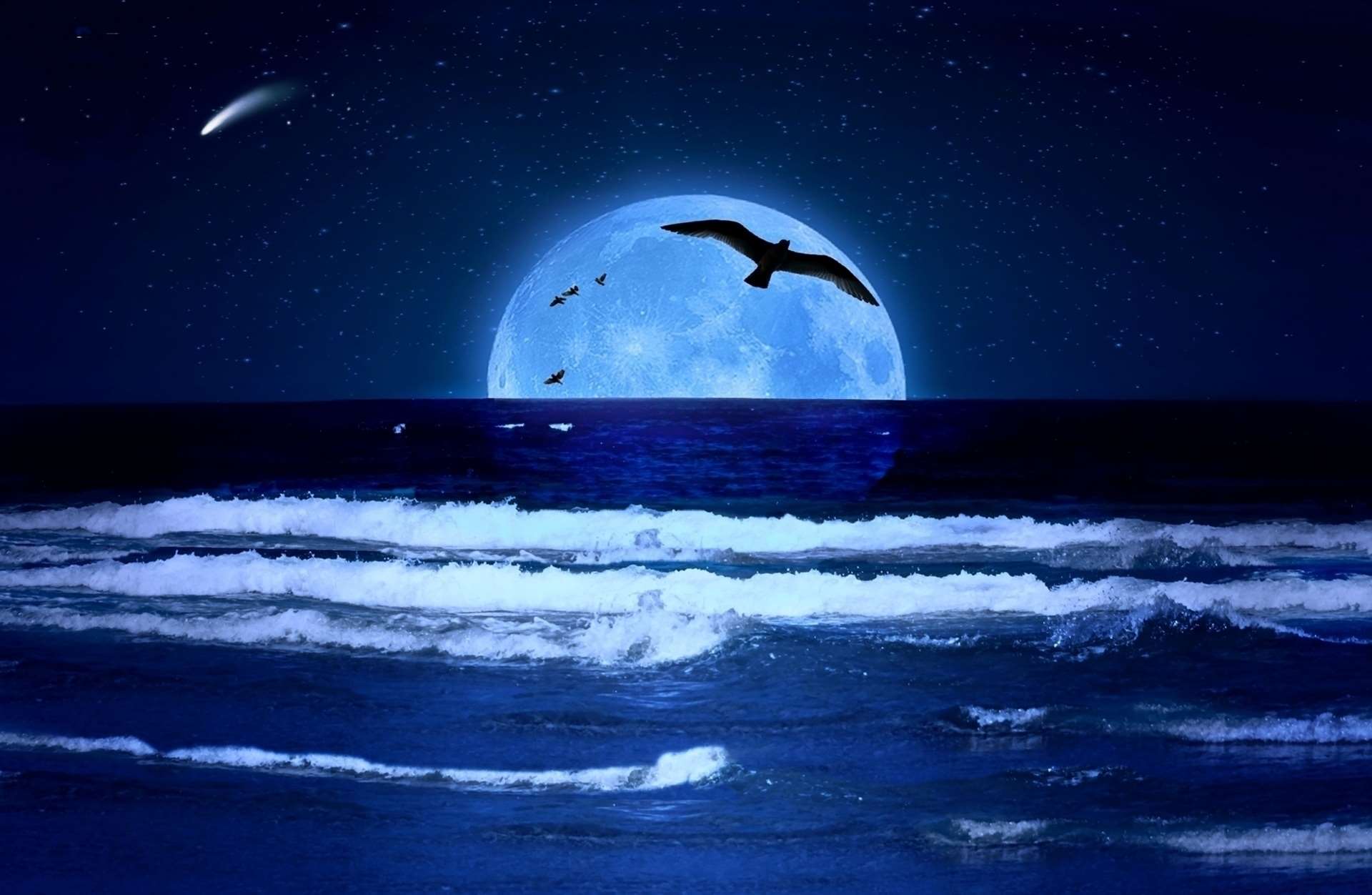 birds, lua, mar, moon, nature, night, ocean, sea, sky, stars wallpaper. Mocah.org HD Desktop Wallpaper
