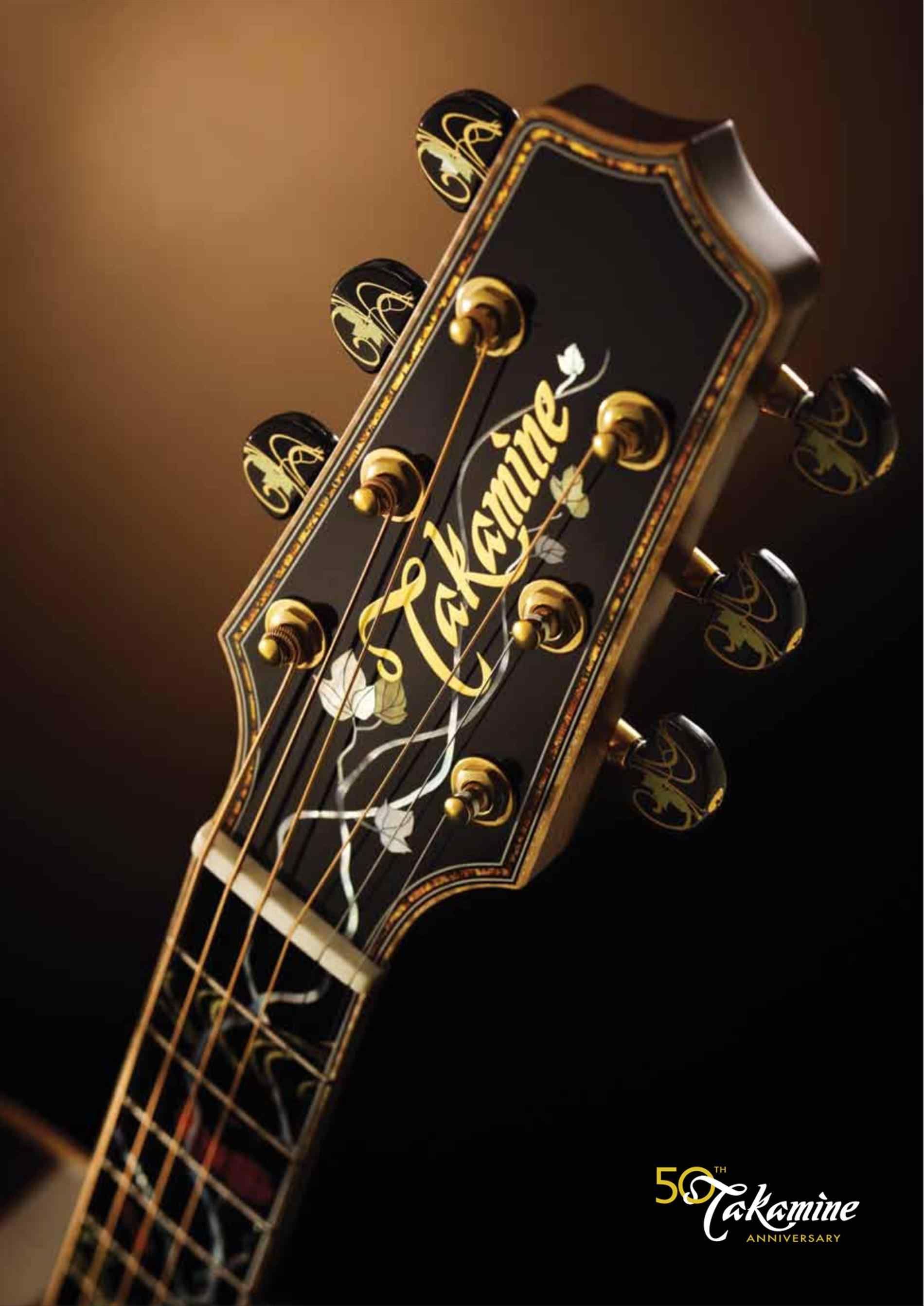 Takamine 12 String Guitar Wallpaper