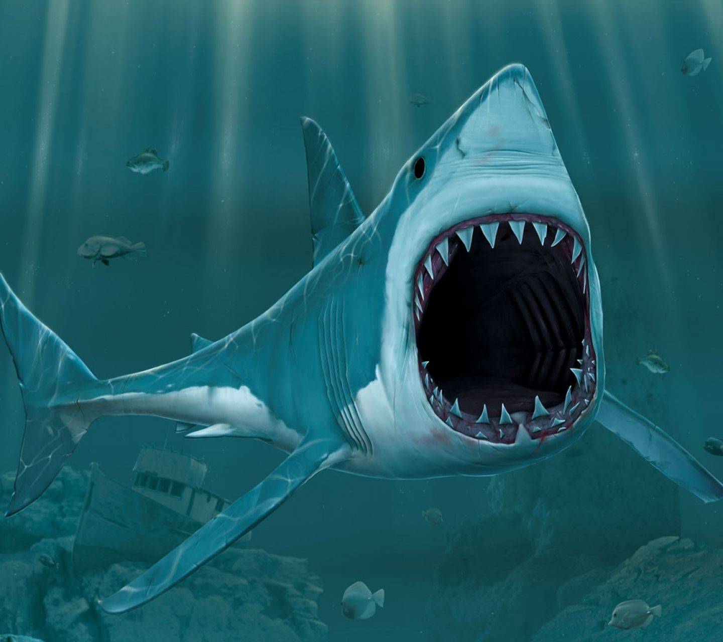 Shark Attack wallpaper