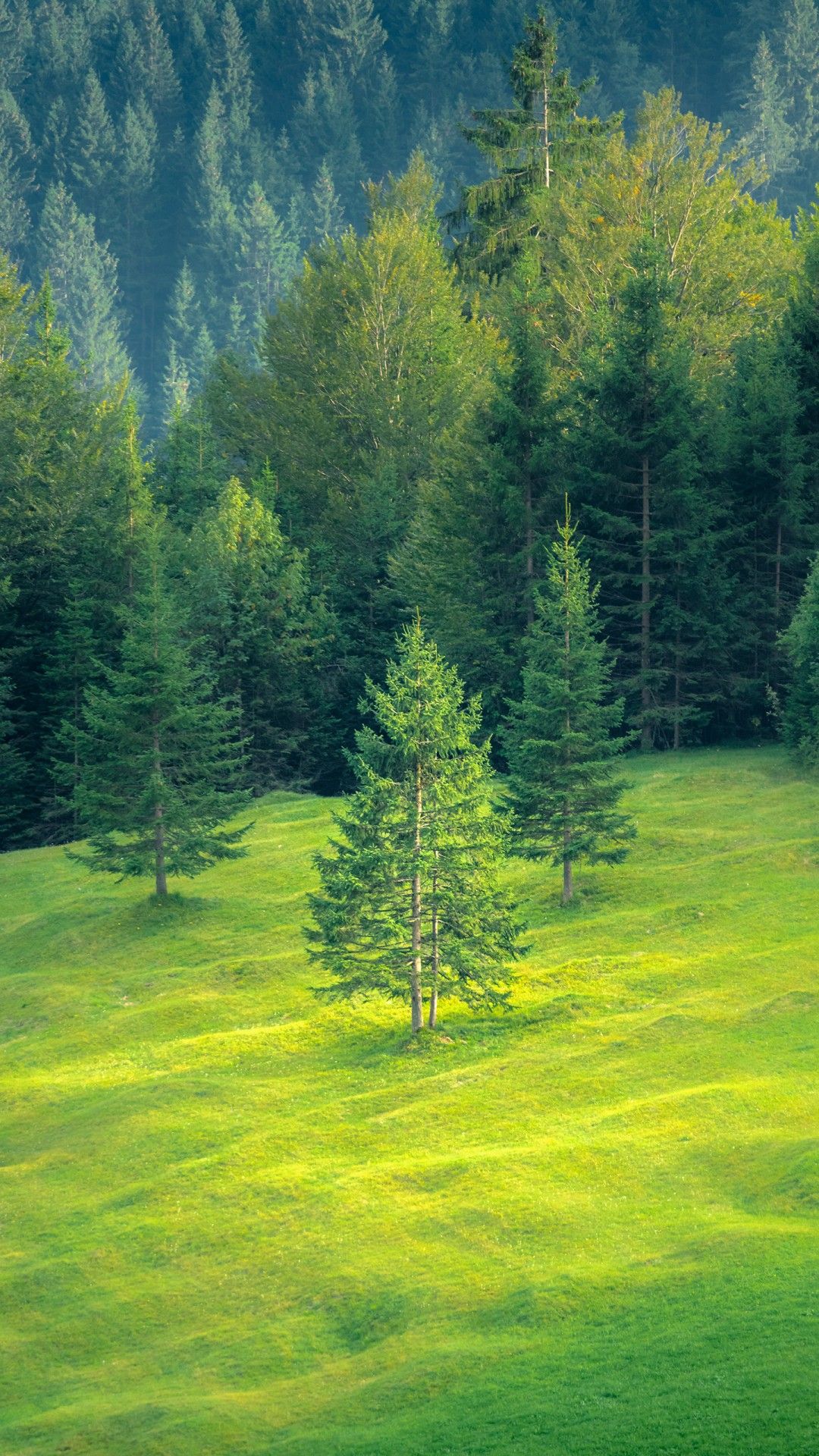 Green Landscape 4K Wallpaper