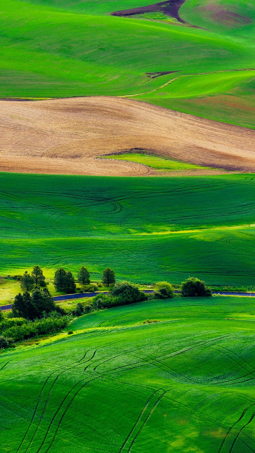 Wallpaper Green landscape, HD, Nature,. Wallpaper for iPhone, Android, Mobile and Desktop