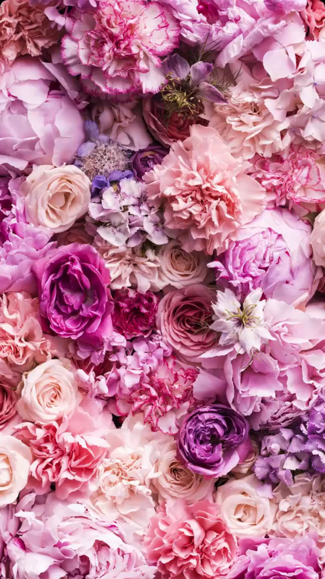 Hãy chiêm ngưỡng tinh túy thiên nhiên qua bức ảnh về những bông hoa đầy màu sắc, lãng mạn và ngọt ngào. Những bông hoa đại diện cho tình yêu, tình bạn hay sự tri ân. Mỗi loại hoa đều mang một ý nghĩa riêng và thể hiện vẻ đẹp độc đáo của chúng.