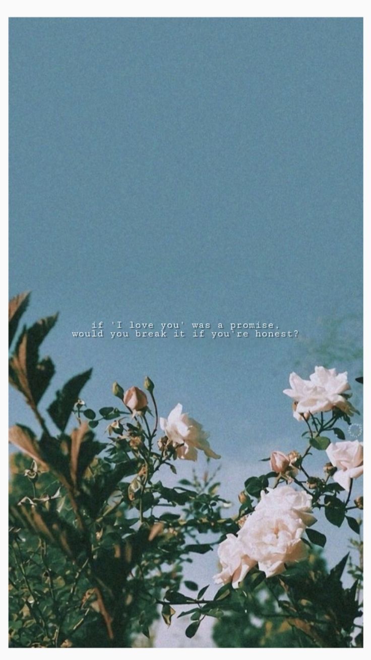 background #flowers #eilish #billie #love #aesthetic #vintage #quote #sky #lockscreen #. Soyut fotoğrafçılık, Ilahm veren alıntılar, Resimli alıntılar