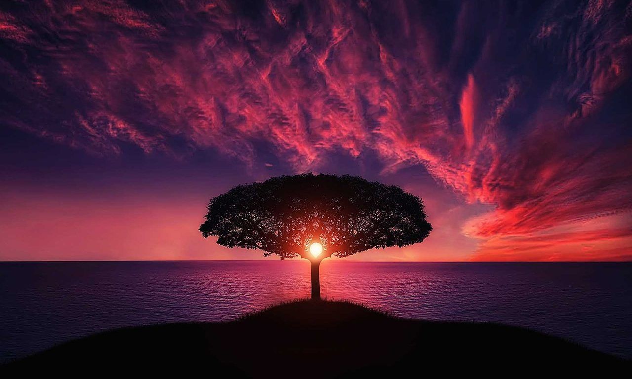 Tree Sunset Desktop Wallpaper. Computer Background Image