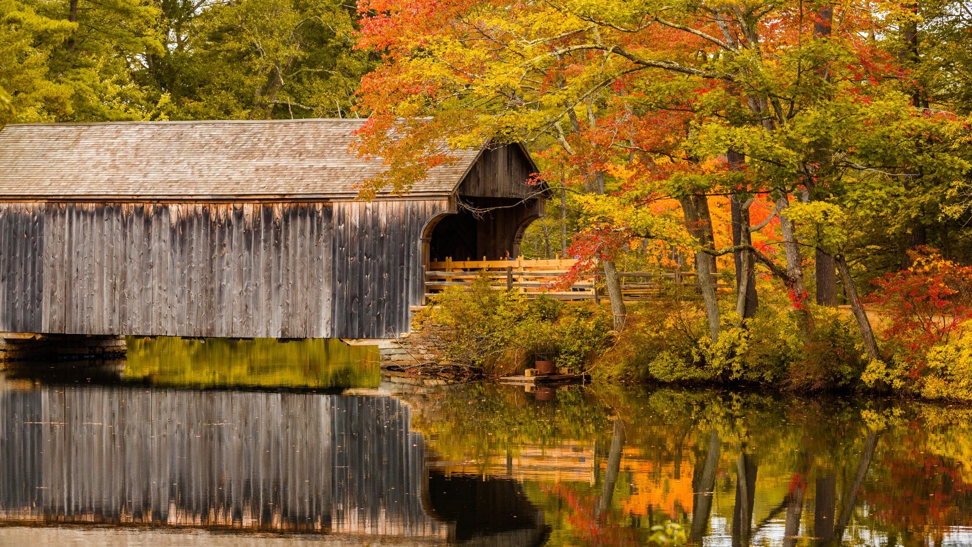 Covered Bridge In Fall Free Domain Picture