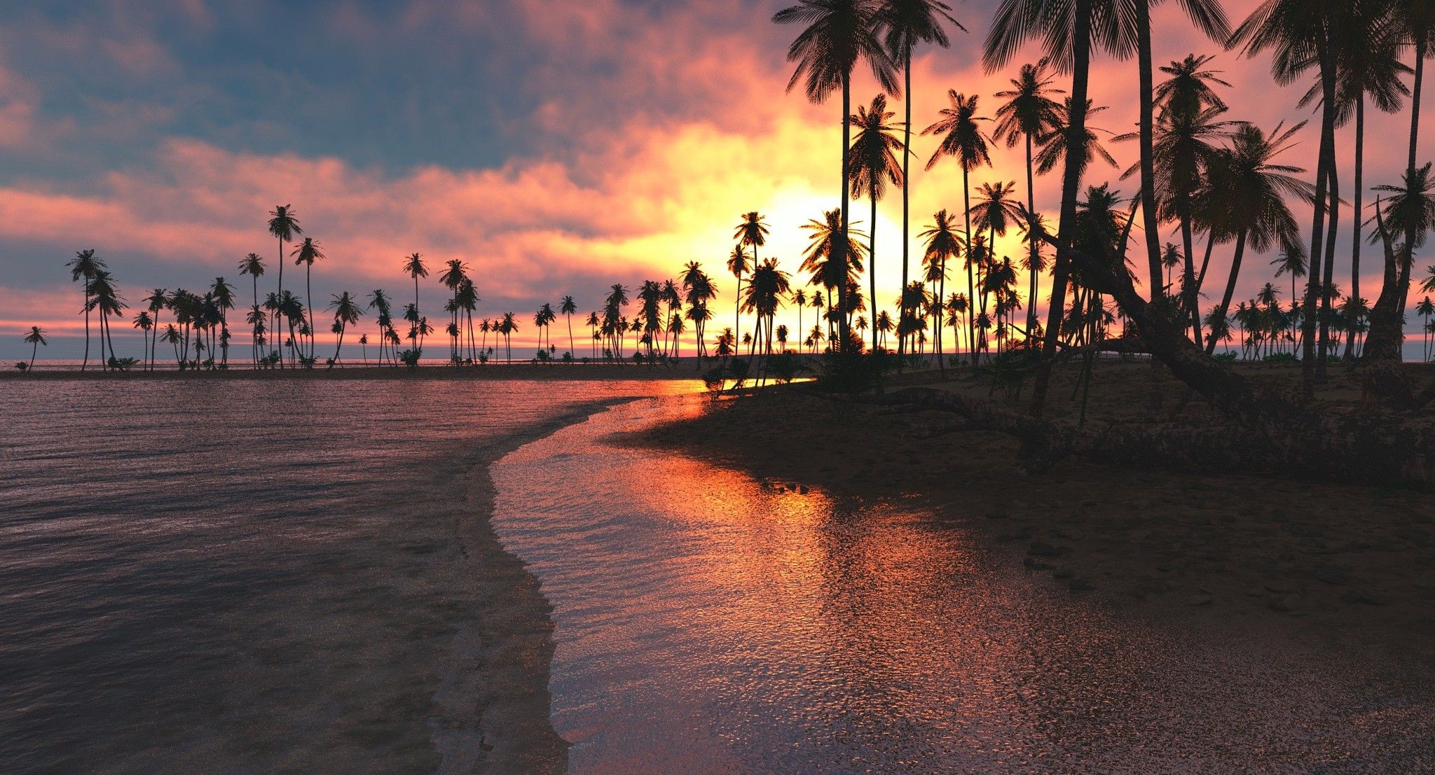Palm Trees Sunset Sea, HD Nature, 4k .hdqwalls.com