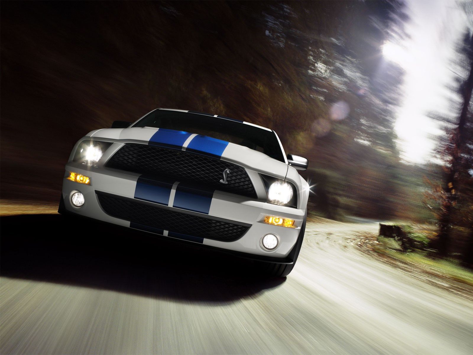 Picture of New Ford Mustang Wallpaper Free Download