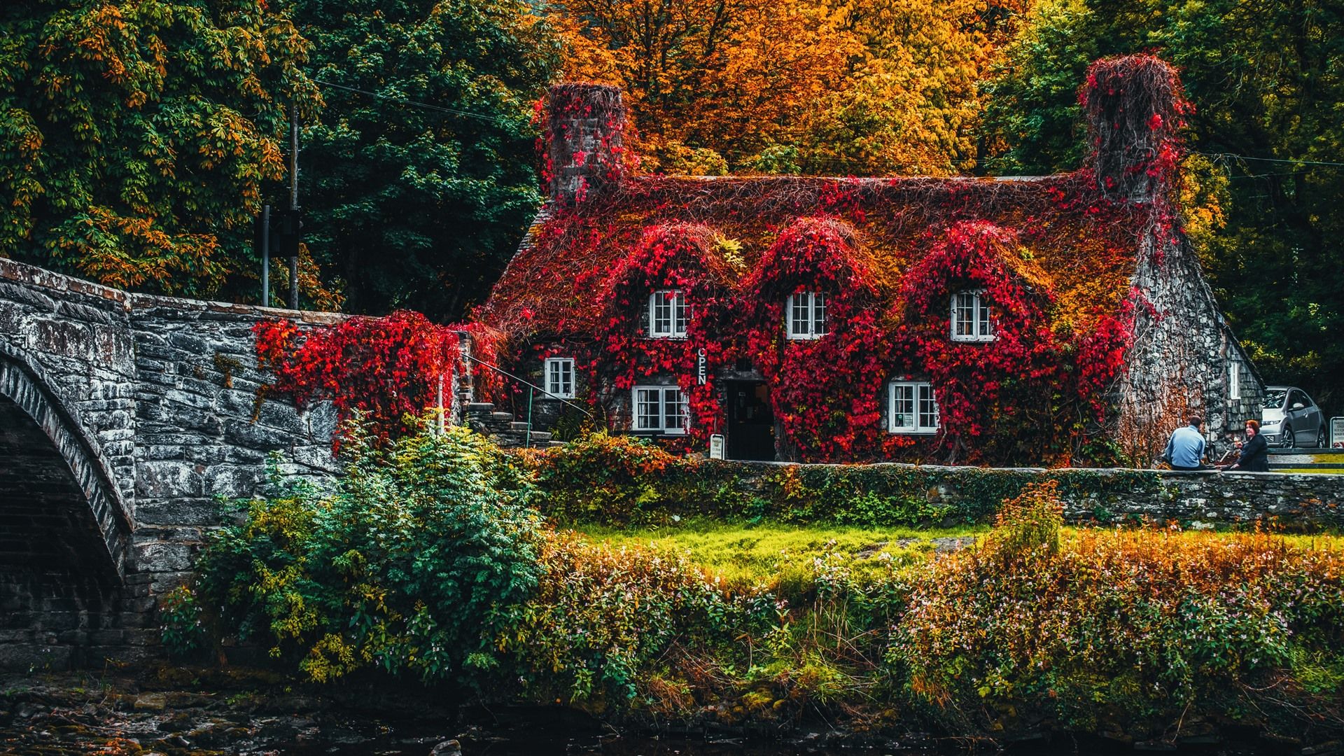 Wallpaper Autumn, red leaves covered the house, bridge, trees 5120x2880 UHD 5K Picture, Image