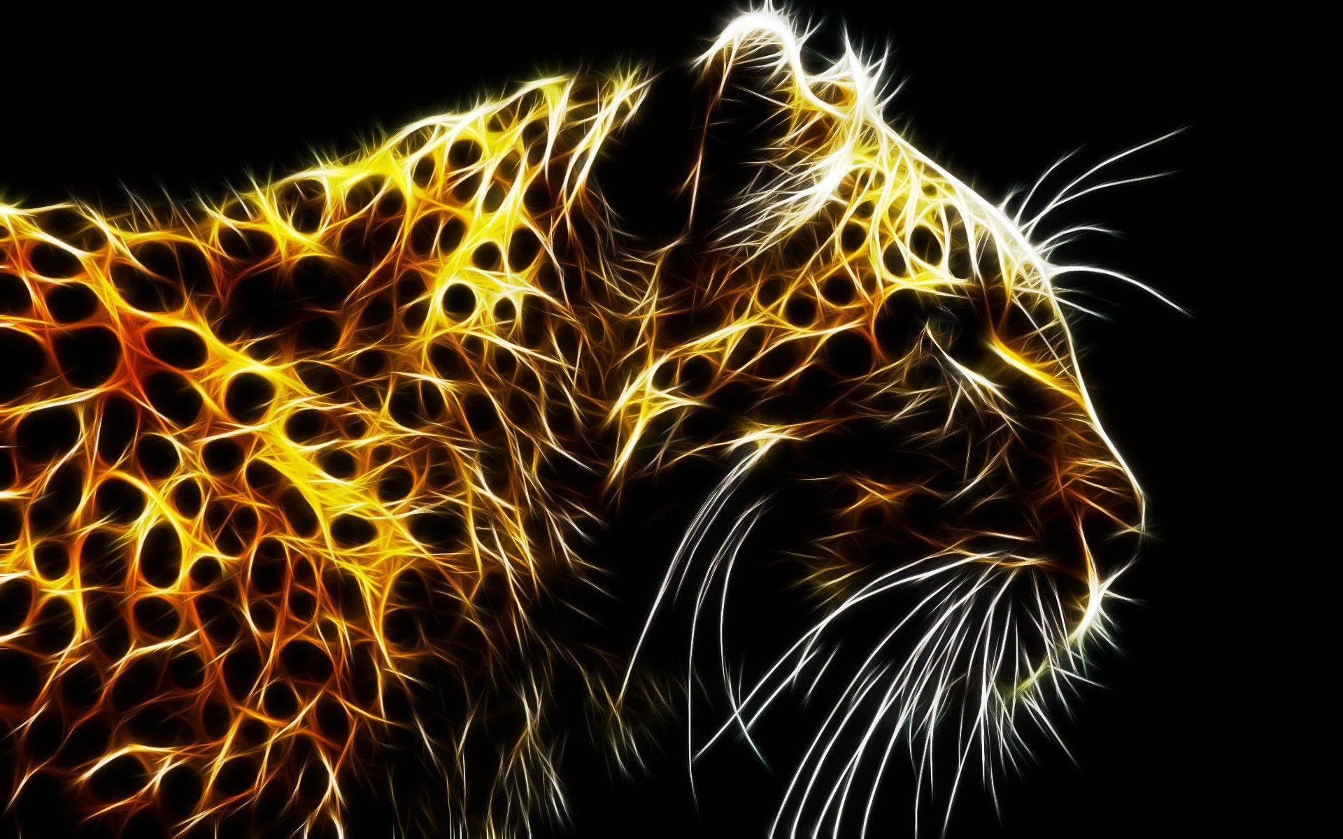 abstract, Animals, Leopard Wallpaper HD / Desktop and Mobile Background