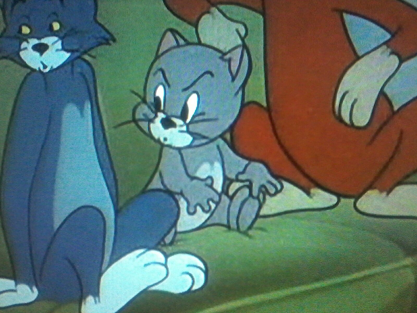 Tom And Jerry The Topsy Cat Angry. Cartoon profile pics, Tom and jerry, Cute wallpaper