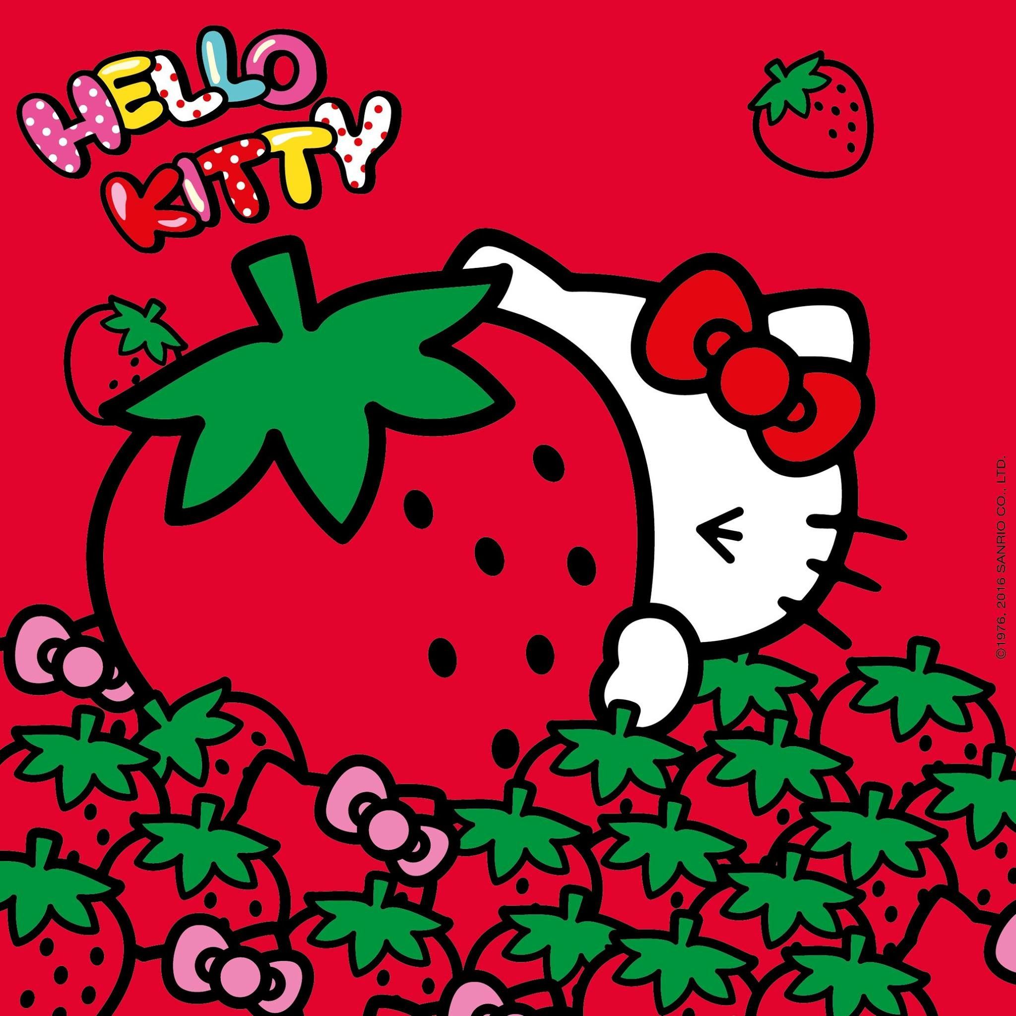 My Image 24