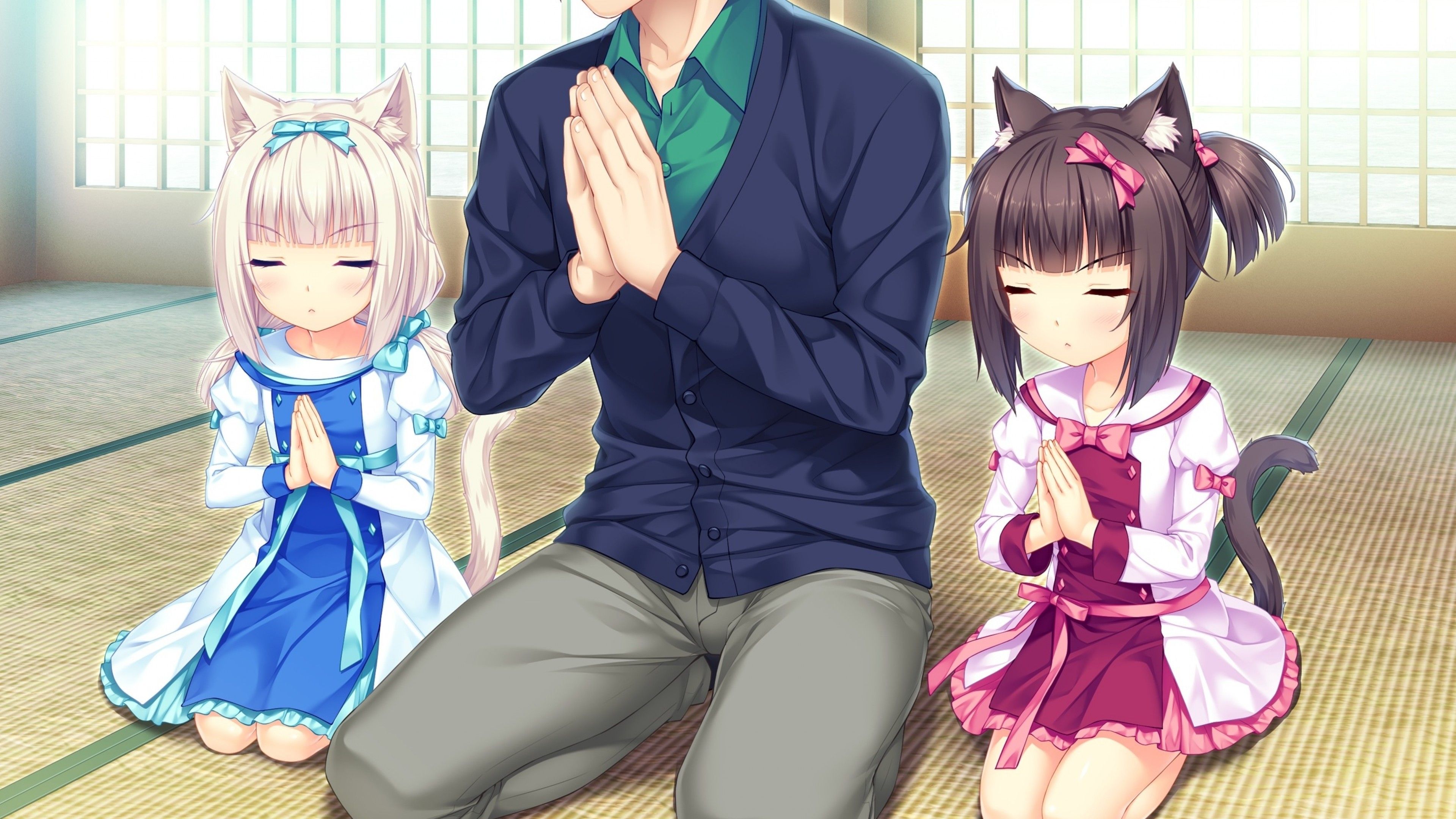 Download 3840x2160 Neko, Sayori, Minaduki Kashou, Cute Anime Girls Wallpaper for UHD TV