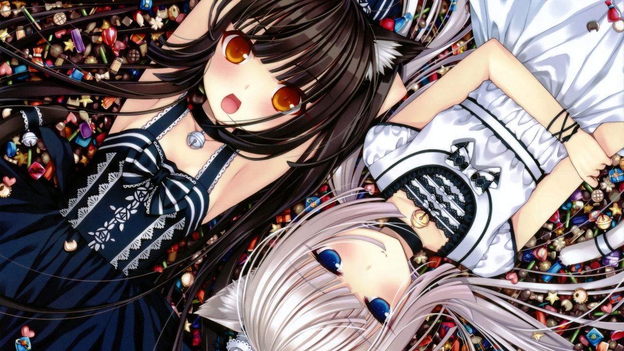 Anime Neko Girls Wallpaper