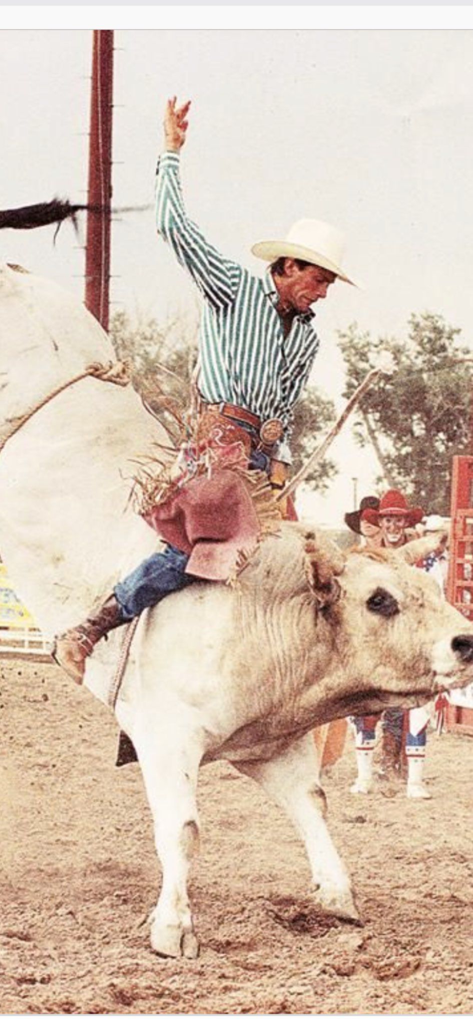 lane frost with his pink chaps. Western wall art, Cowgirl picture, Lane frost