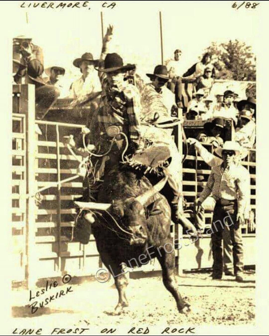 motivationmonday #lanefrost Vs #redrock at #Livermore #california back in photo by Leslie Buskirk (Instagram). Rodeo life, Lane frost, Bull riders