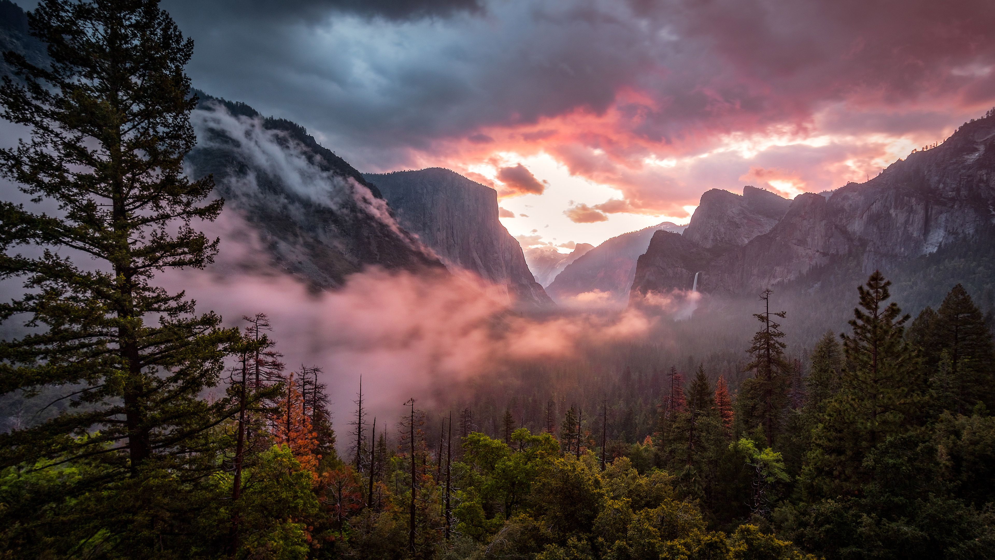 Download wallpaper 4k, America, Yosemite Valley, morning, Yosemite National Park, fog, forest, California, USA for desktop with resolution 3840x2160. High Quality HD picture wallpaper