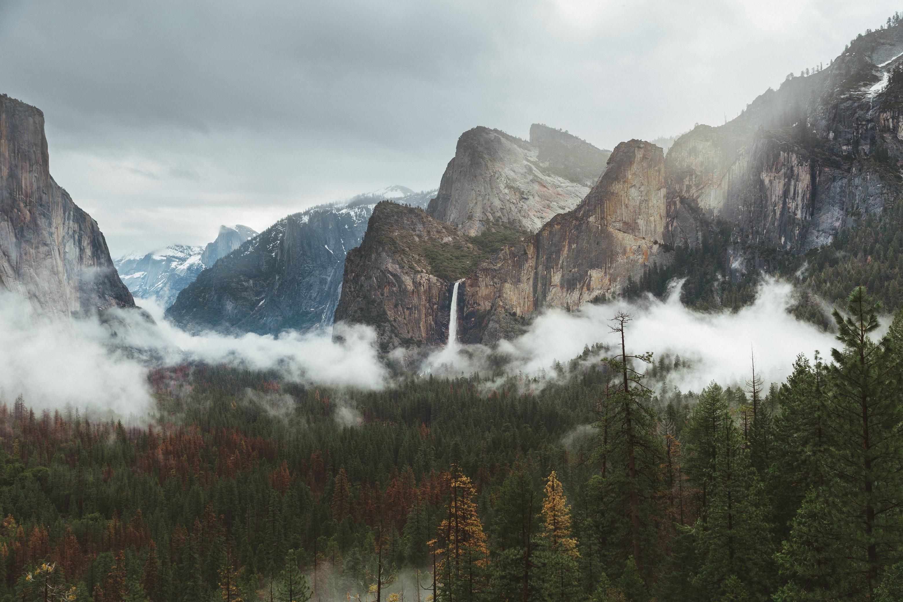 Early morning fog in the valley Yosemite National Park [OC][3120x2080] -Please check the website for more pics. Yosemite, Yosemite national park, National parks