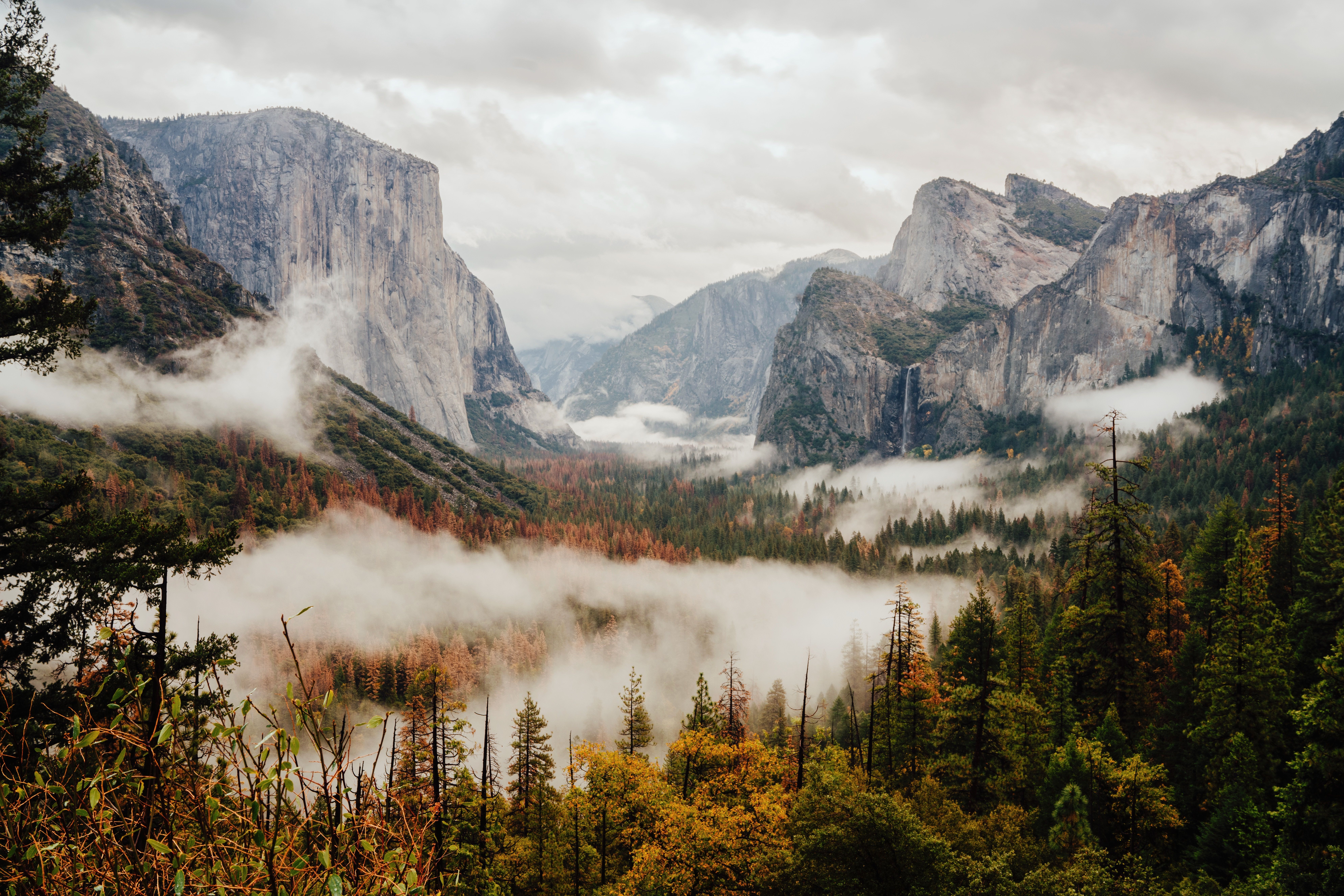 7952x5304 #cloud, #tree, #Free picture, #mist, #forest, #yosemite, #park, #fog, #mountain. Mocah.org HD Wallpaper
