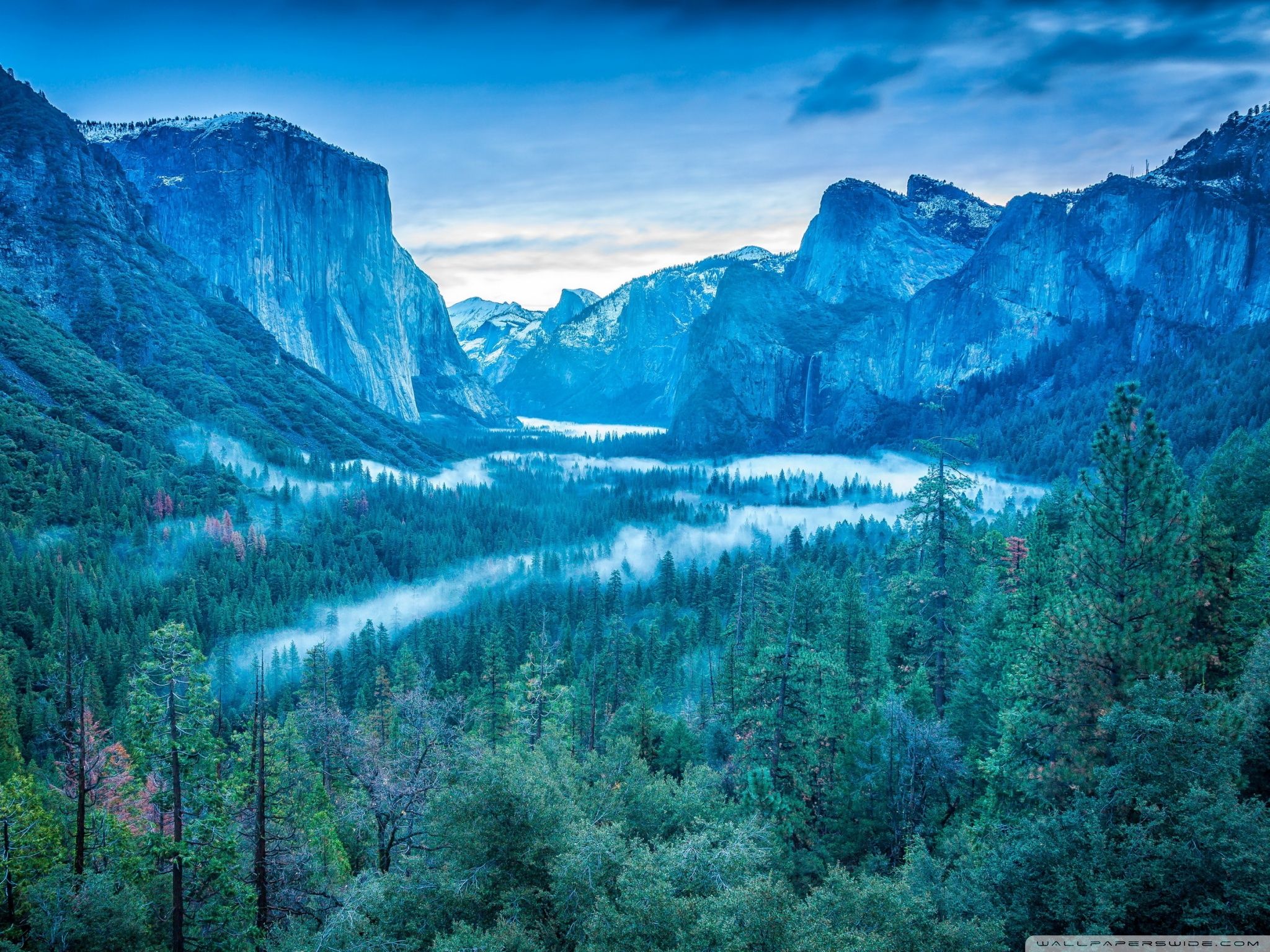 Yosemite National Park California USA Fog Ultra HD Desktop Background Wallpaper for 4K UHD TV, Multi Display, Dual Monitor, Tablet