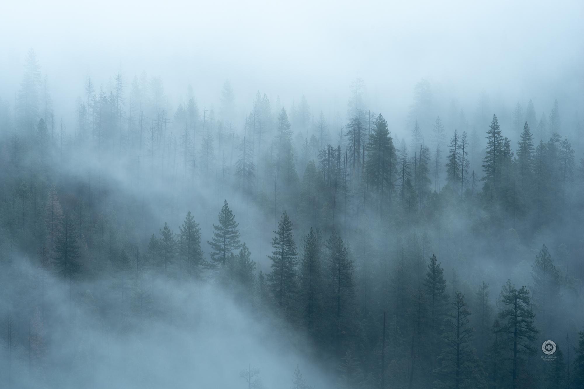 Yosemite Valley Morning Fog Wallpapers - Wallpaper Cave