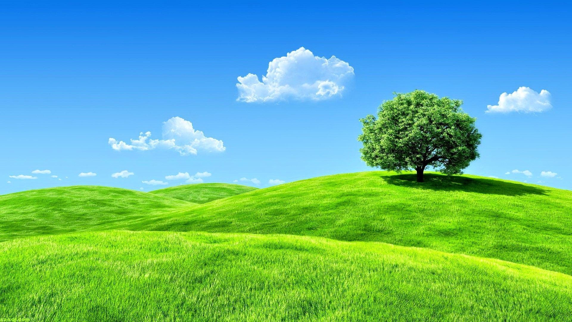 Natural Screen Wallpaper Free Natural Screen Background