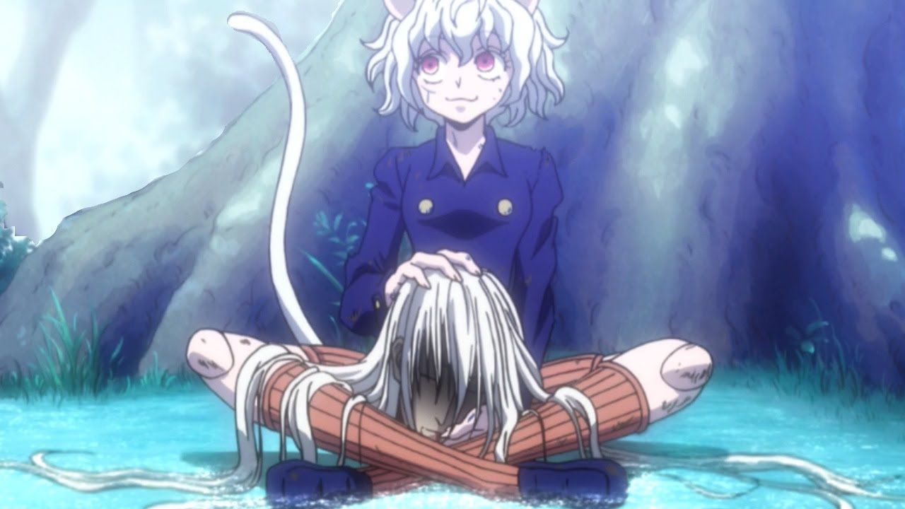 Hunter x Hunter Gon And Killua Neferpitou HD Anime Wallpapers, HD  Wallpapers