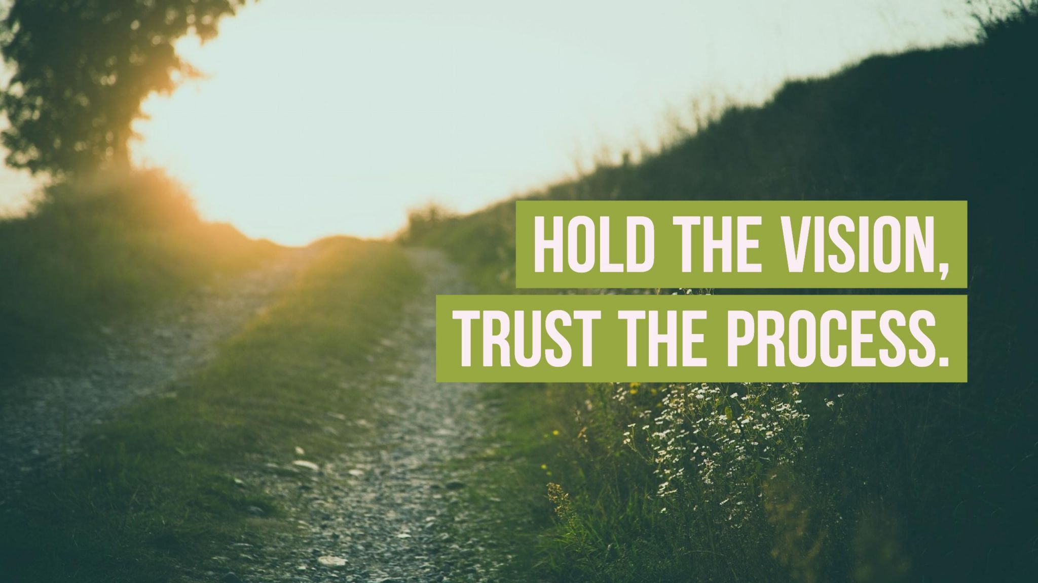 Trust the Process Its been a while since I posted here in  by Laura  Jaramillo  The Startup  Medium