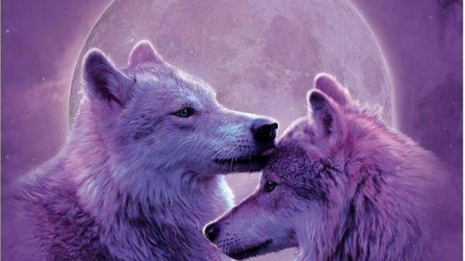 other moonwolves wolves animals painting moon nature wolf 53 picture
