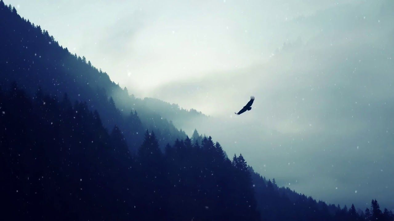 Light Gentle Snow Falling In Forest [wallpaper Engine] Fog, Download Wallpaper