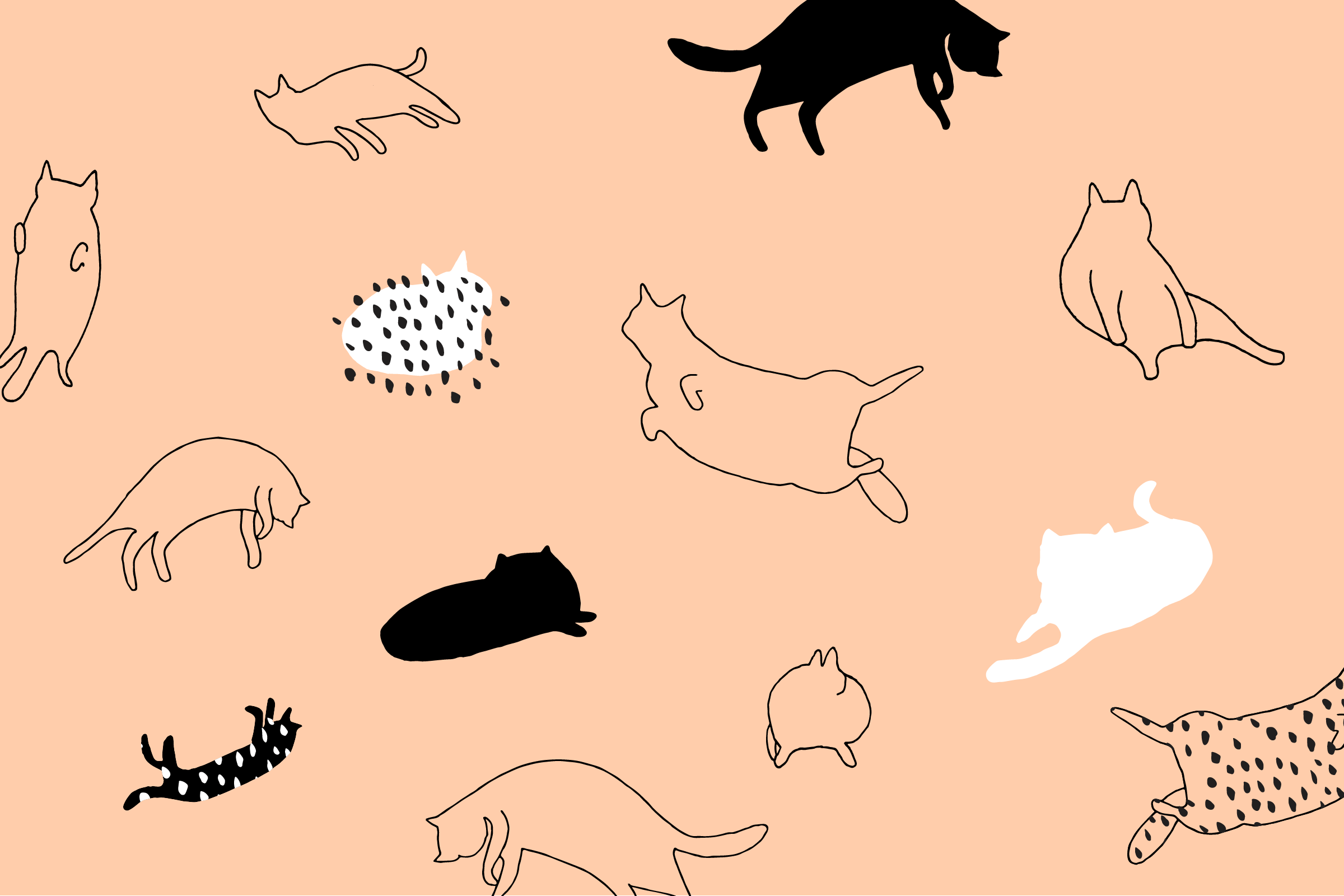Cats Drawing Wallpaper