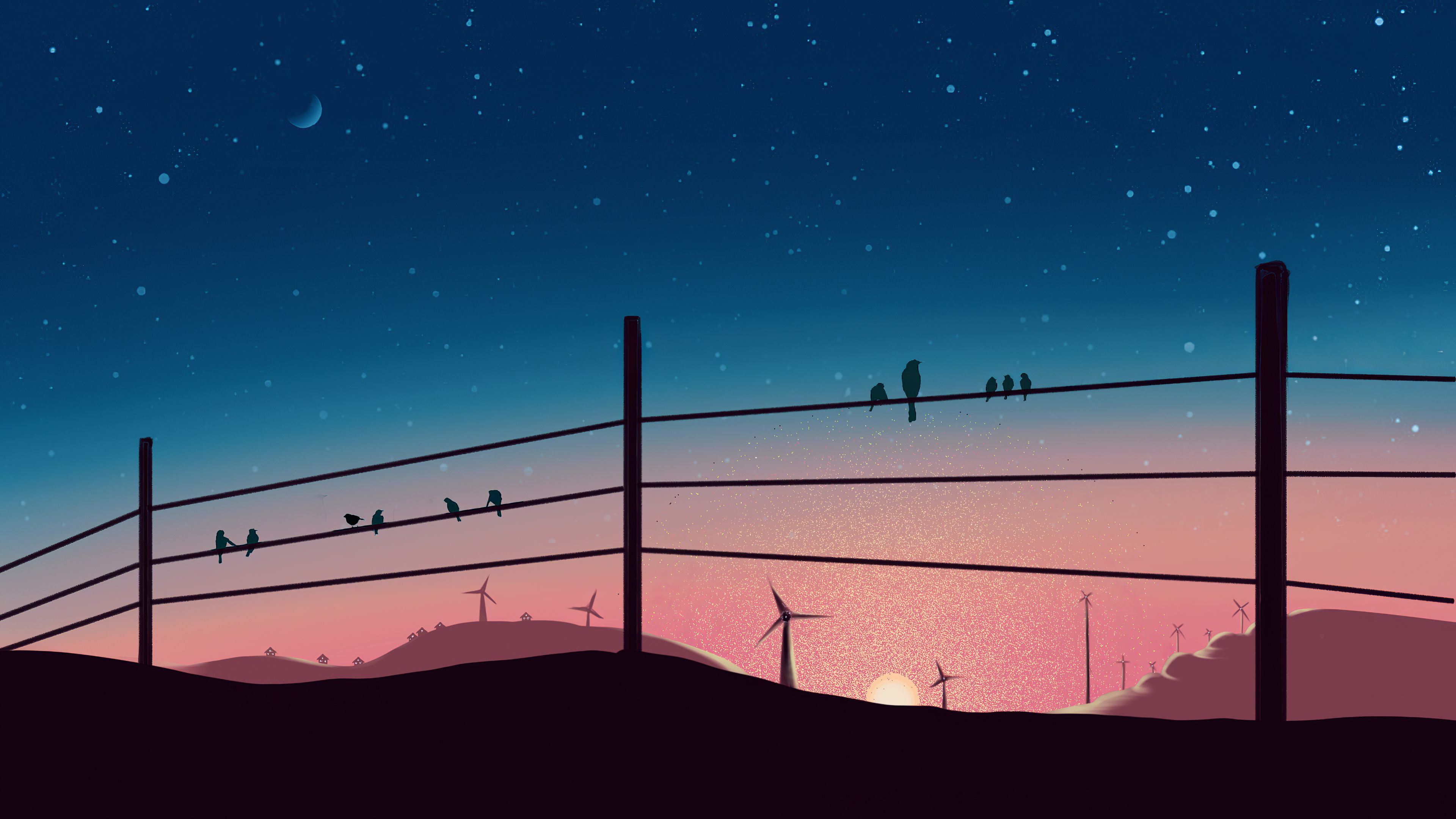 Birds Sitting On Powerline 4k, HD Artist, 4k Wallpaper, Image, Background, Photo and Picture