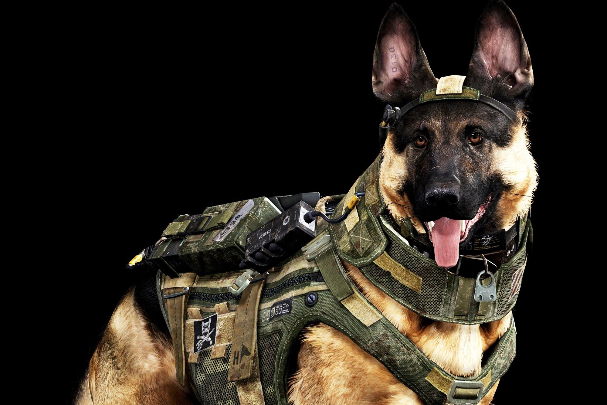 Riley, the official dog of 'Call of Duty'. Army dogs, Military dogs, Dogs