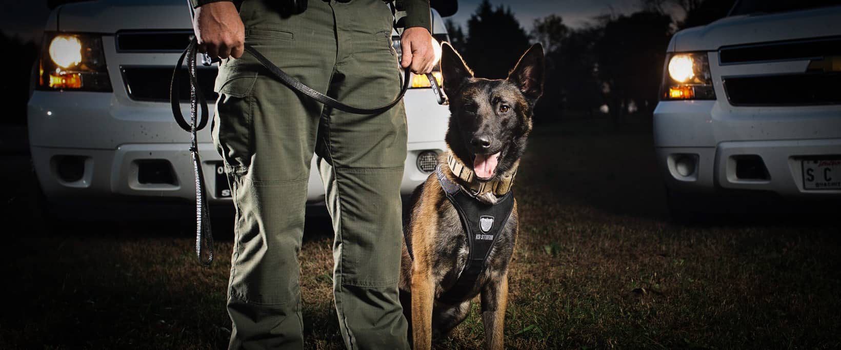 Police Dogs & Military K9 Sales and Training