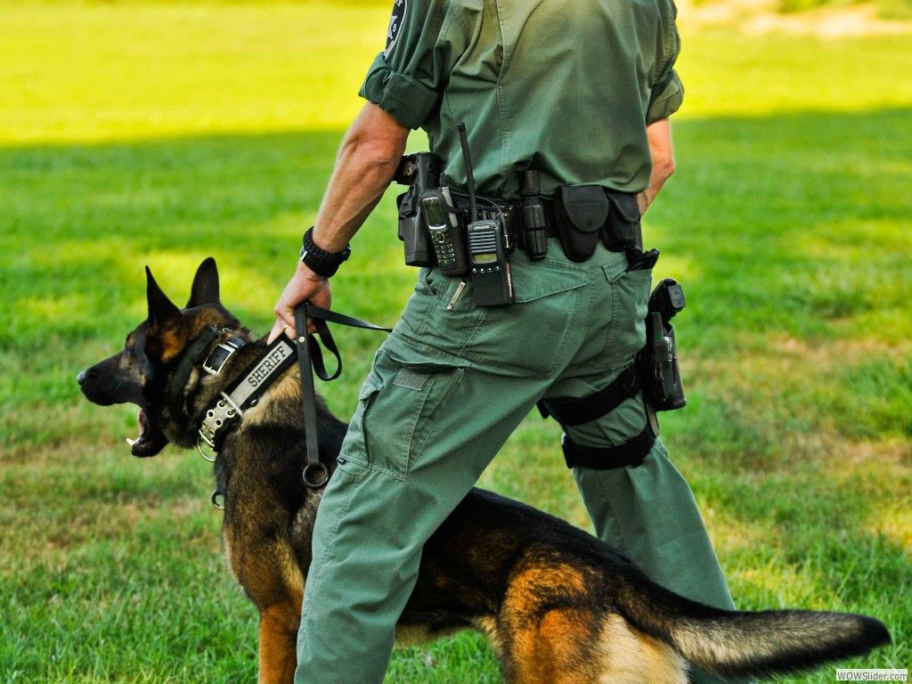 Police and Military Working Dog Kennels