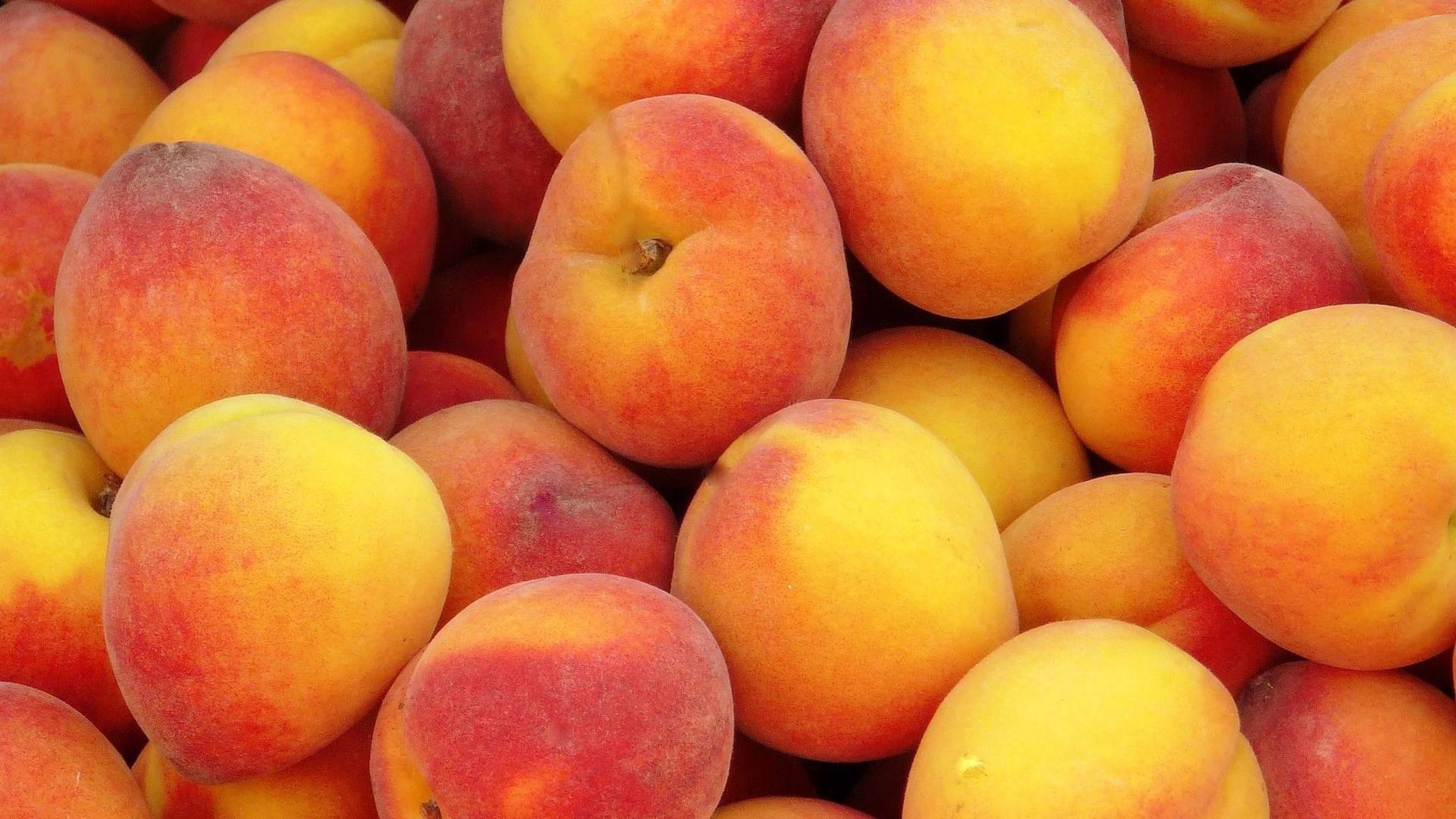 Free download Peaches Fruit Wallpaper [1920x1080] for your Desktop, Mobile & Tablet. Explore Peaches Wallpaper. Peach Wallpaper for House Walls, Peach Colored Wallpaper, Peach and Green Wallpaper