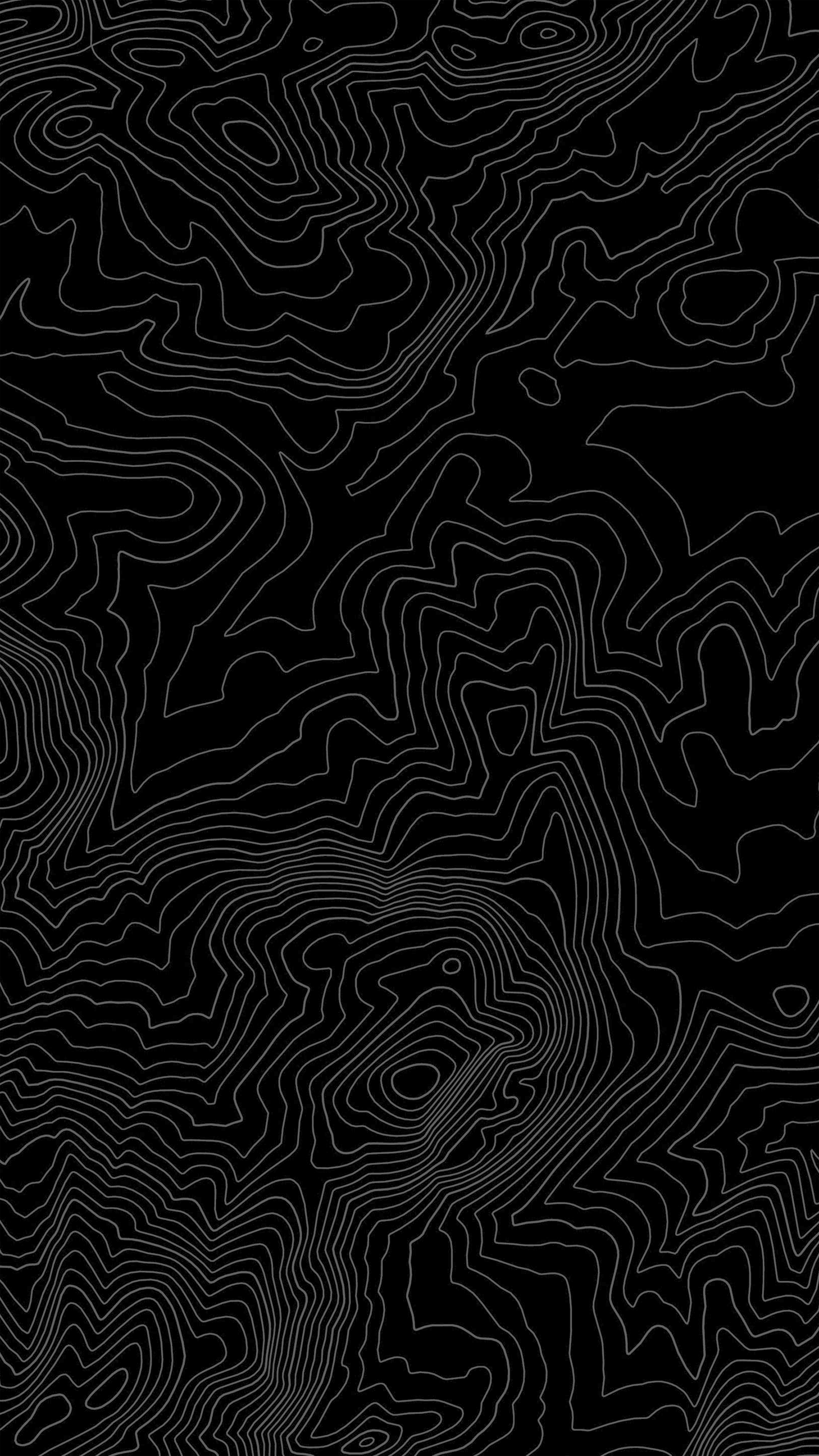 Topographical Wallpaper