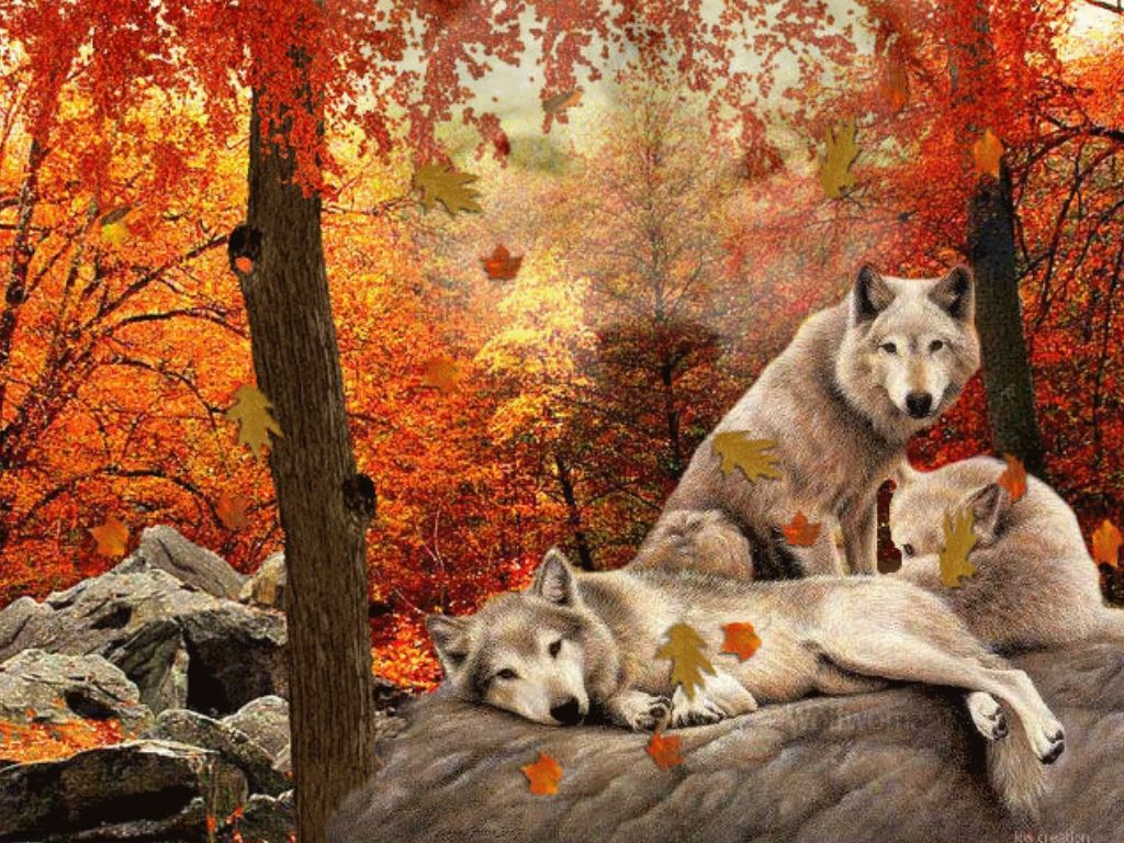 Free download family of wolves animals autumn colours dogs family leafs falling [1024x768] for your Desktop, Mobile & Tablet. Explore Free Fall Wallpaper with Dogs. Free Halloween Wallpaper, Free