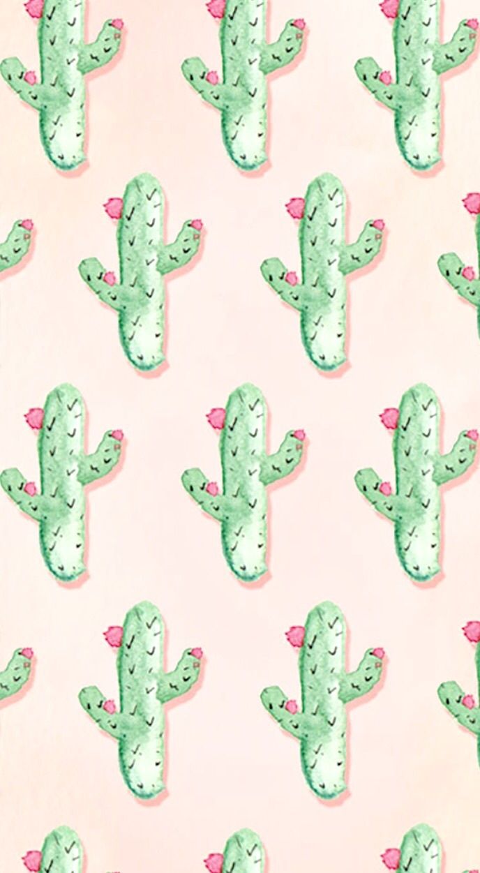 Wallpaper, Cactus, And Background Image Phone Background HD Wallpaper