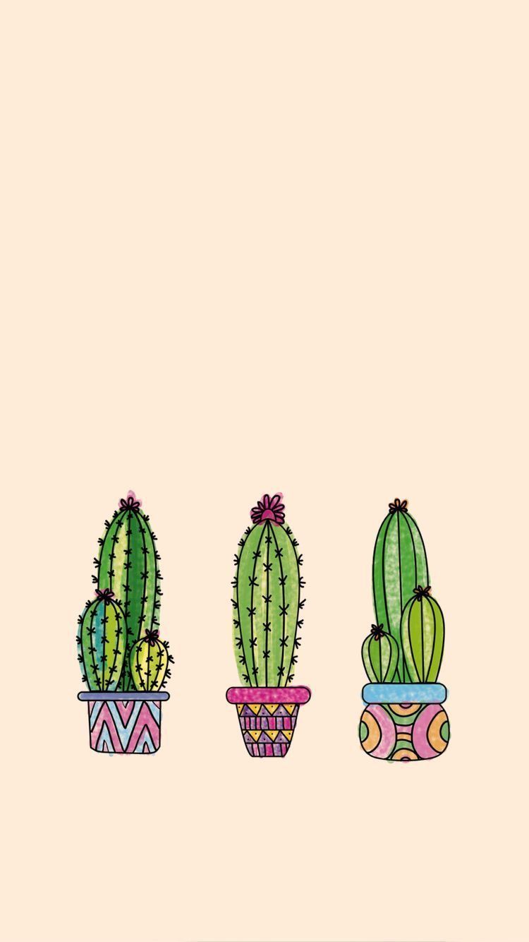 Cactus Aesthetic Wallpapers - Wallpaper Cave