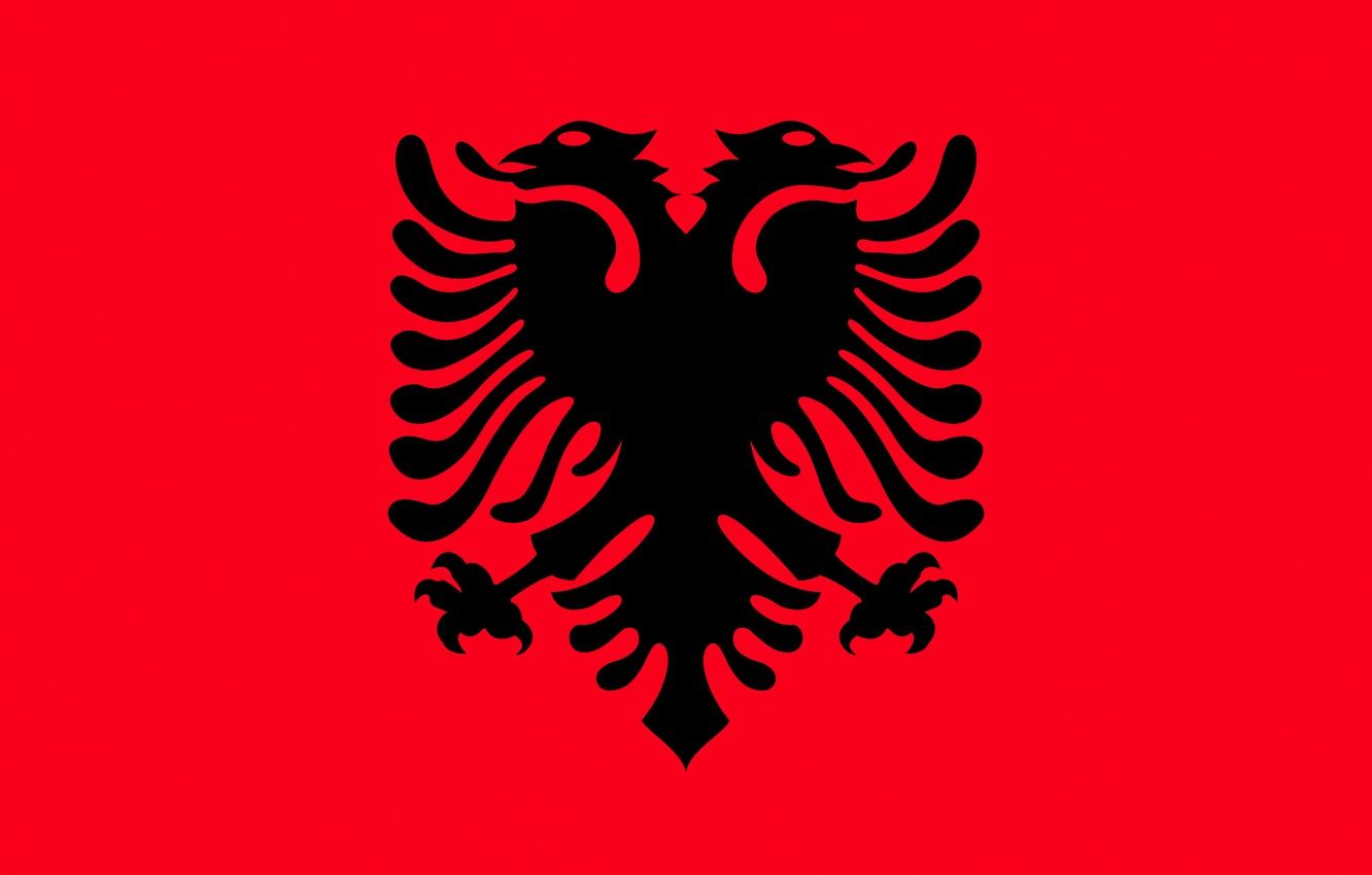 Wallpaper flag, red, eagle, black, eagle, Albania, fon, flag, albania image for desktop, section текстуры