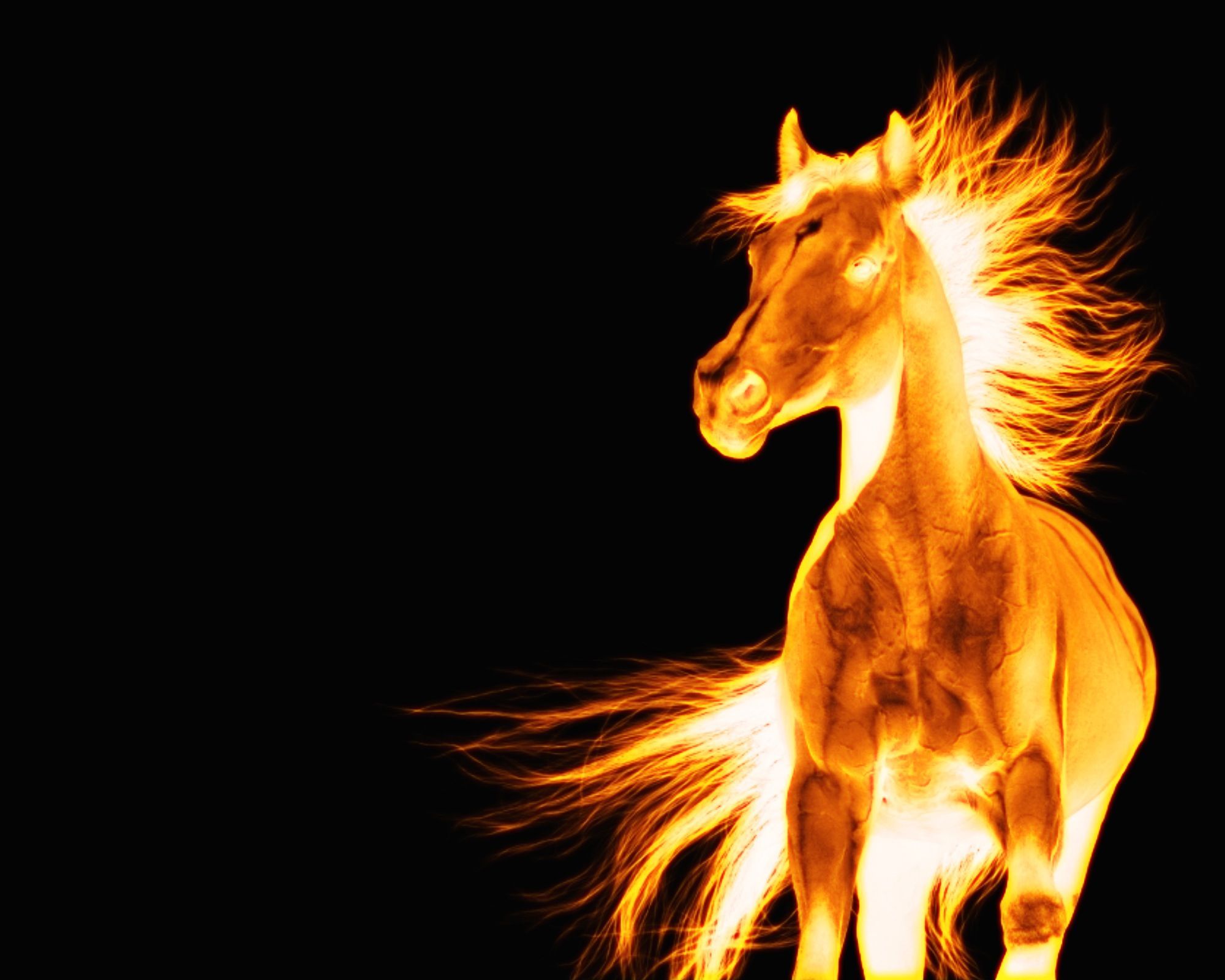 Fire horse. Fire horse, Horses, Horse picture