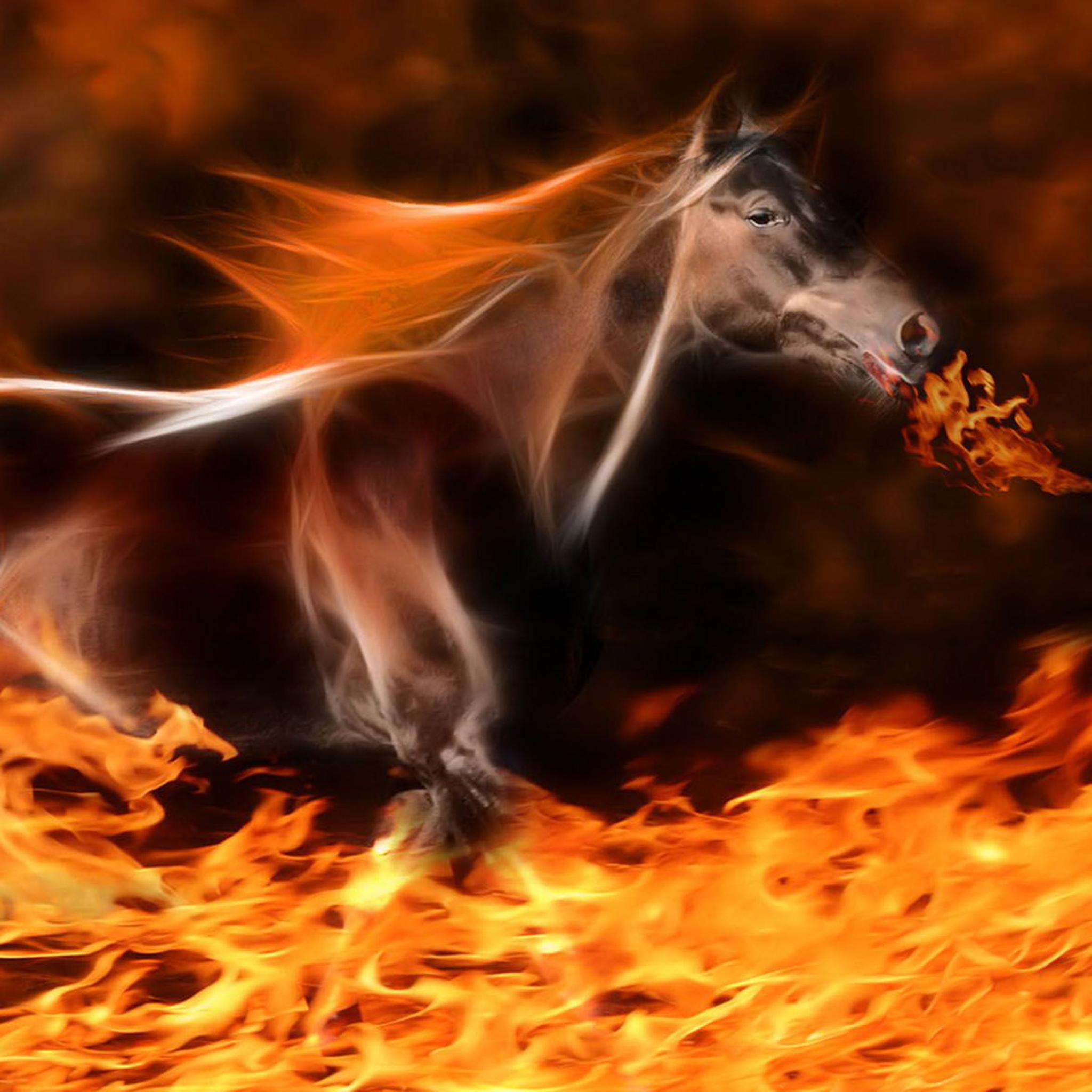 Fire Horse Art iPad Air Wallpaper Free Download
