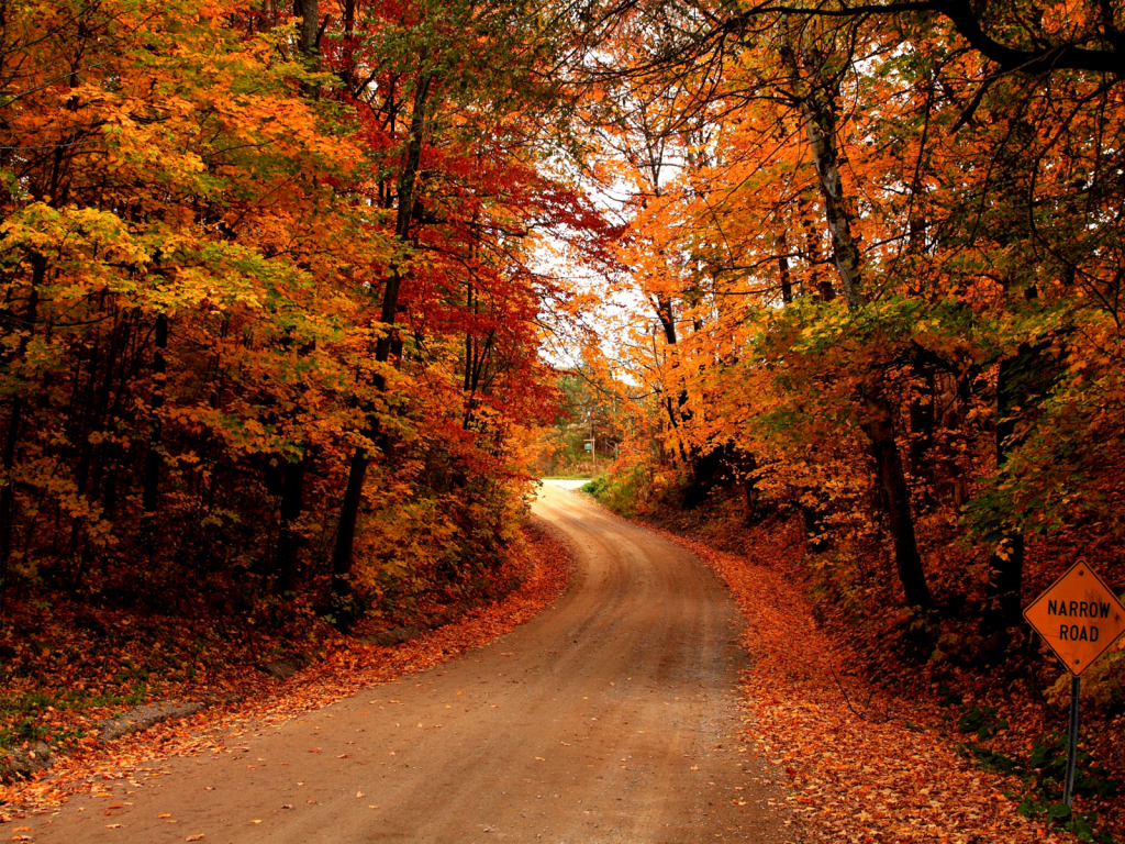 national geographic autumn wallpaper. autumn, awesome, wallpaper, wallpaper, national geographic, desktop. Fall picture, Scenery, Country roads